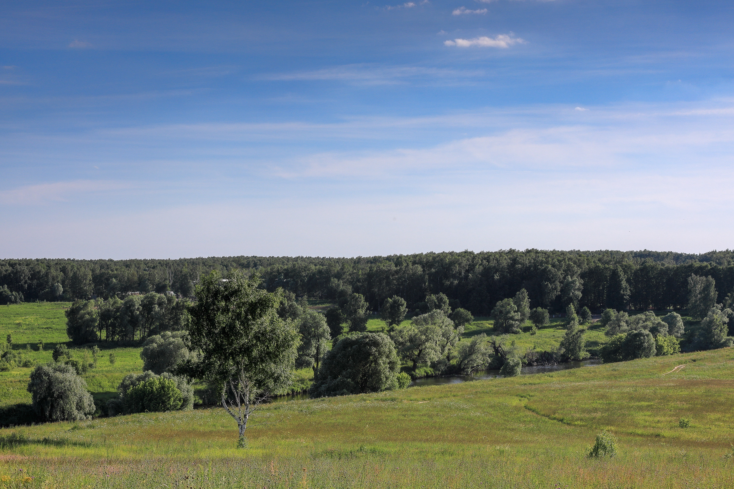 Летний Подмосковный ландшафт, пойма реки Пахры