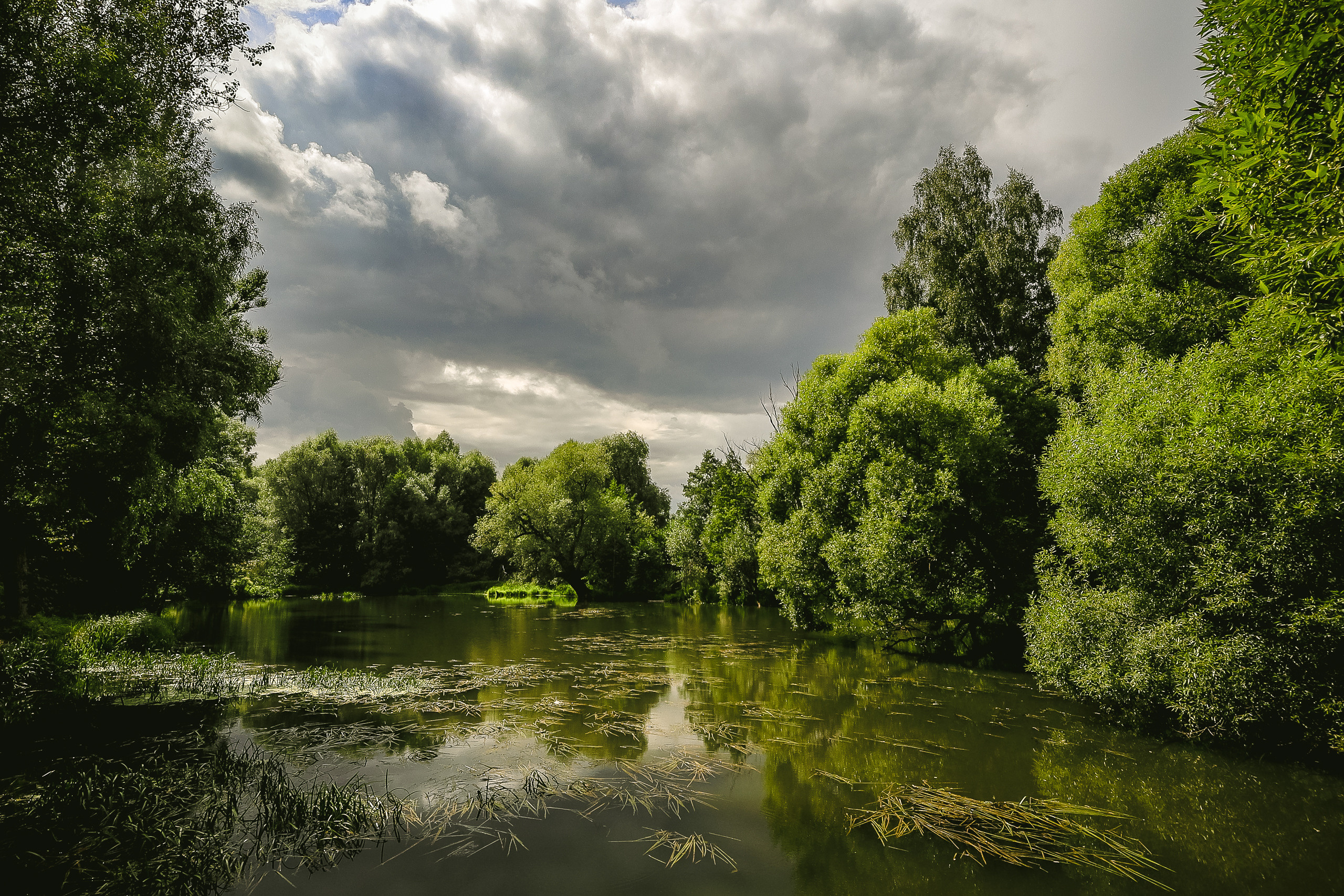 Небольшой лесной водоем
