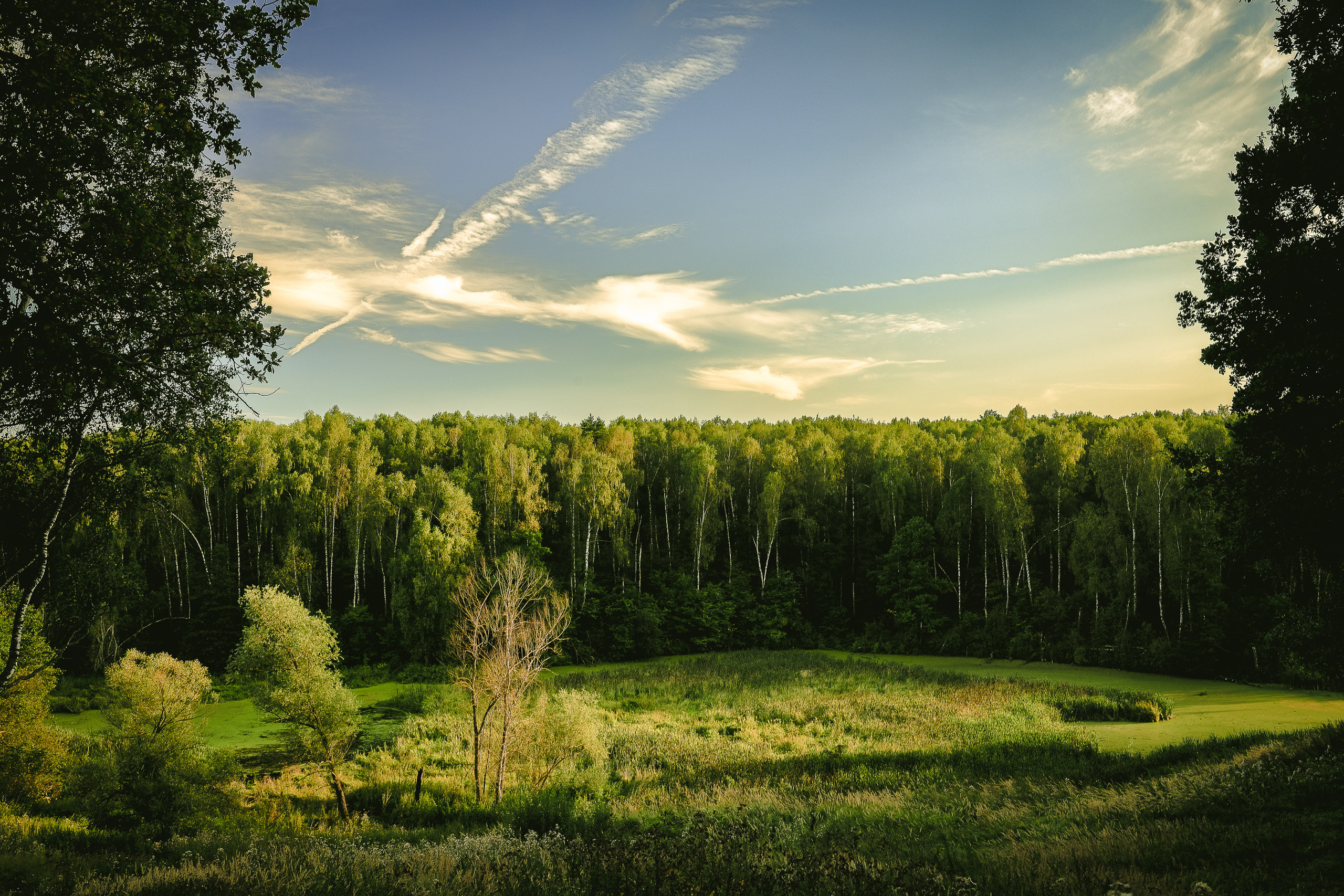 Летним вечером на излучине реки Жданка