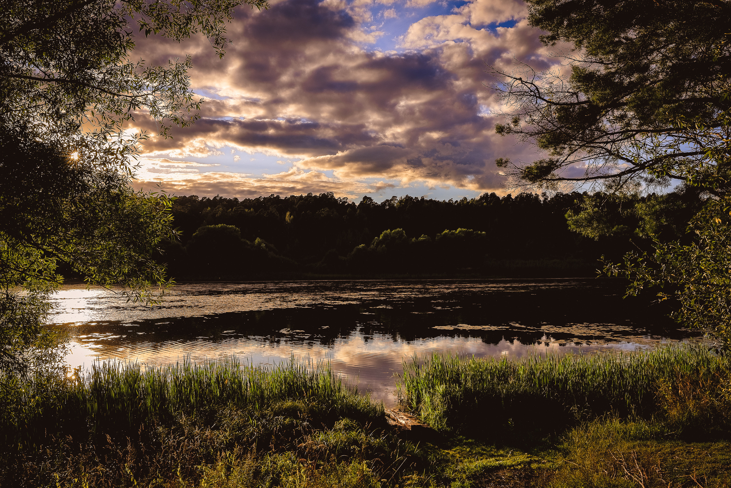 Приток Волги речка Кинешемка летним вечером