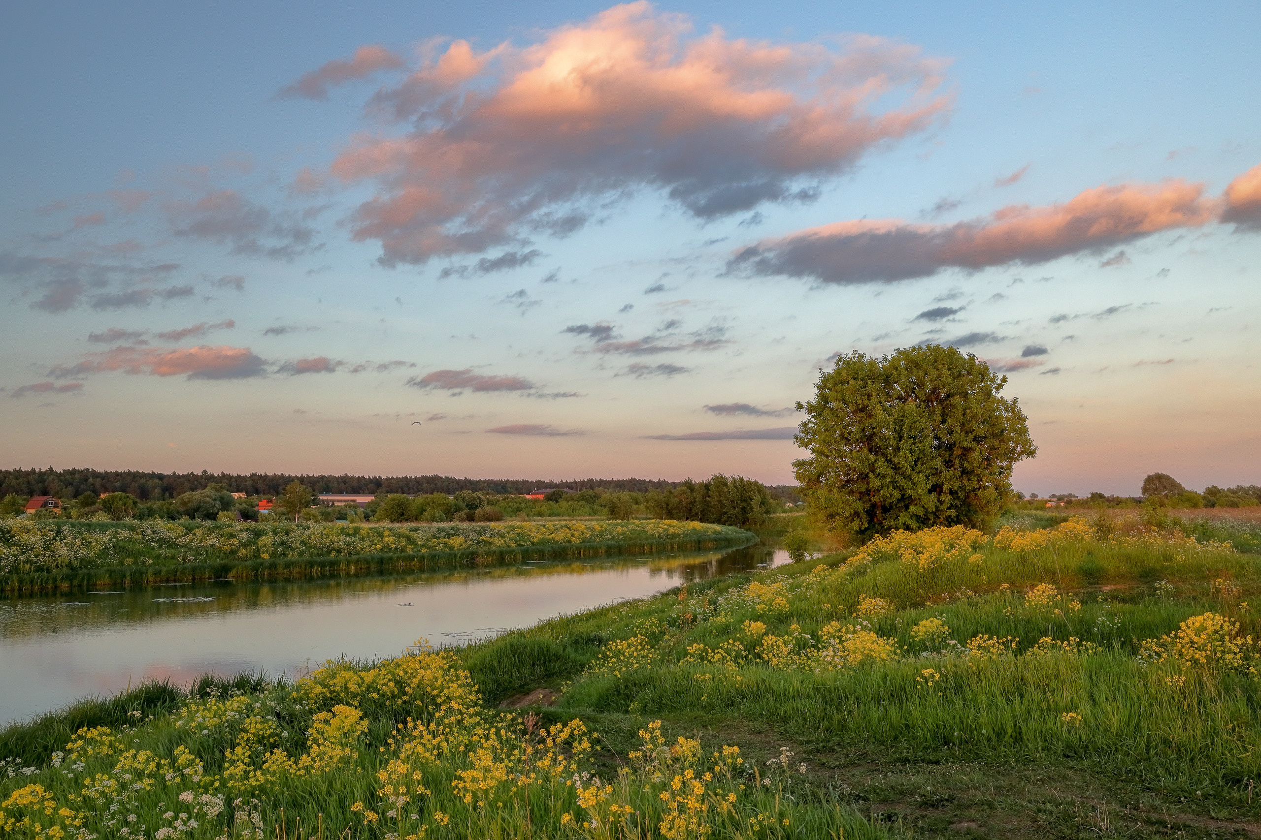 Цветущая весна на пойме реки Быковка