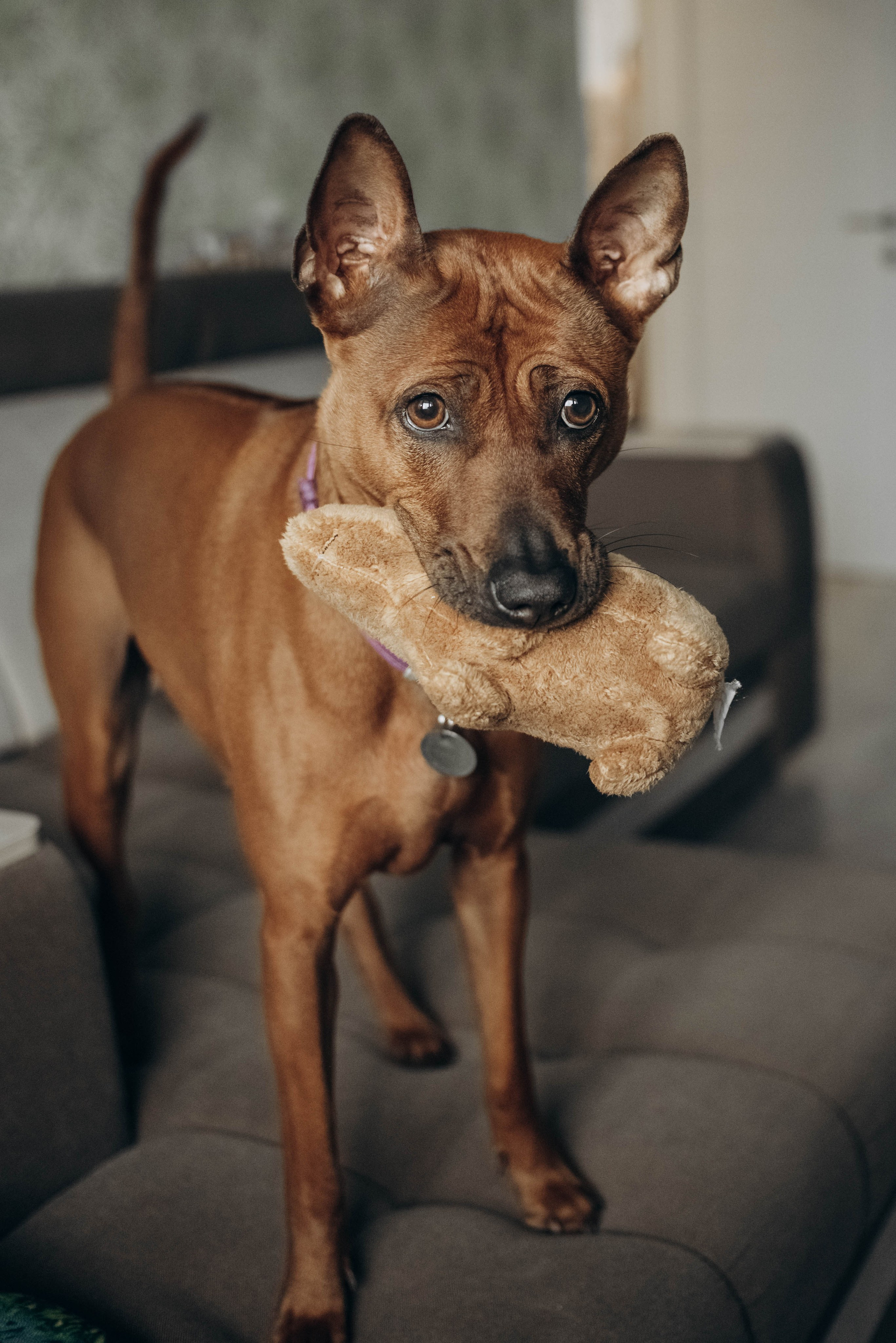 День рождения с лучшим другом. Семейный фотограф в Железнодорожном Масаева Елена