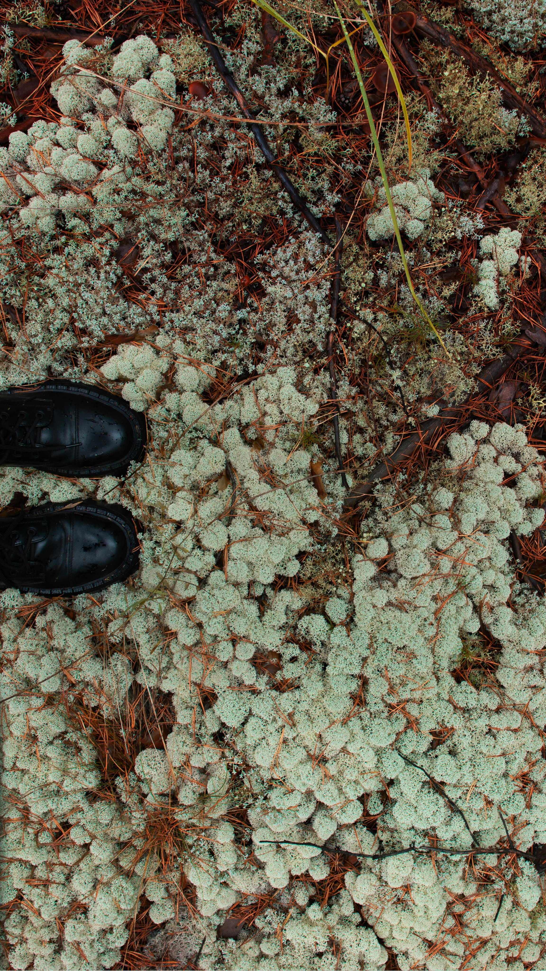 Ну вот как эту красоту не показать? А точнее, как о ней рассказать, если не показать?. Предметный фотограф и ретушер Улан-Удэ Алла Белова