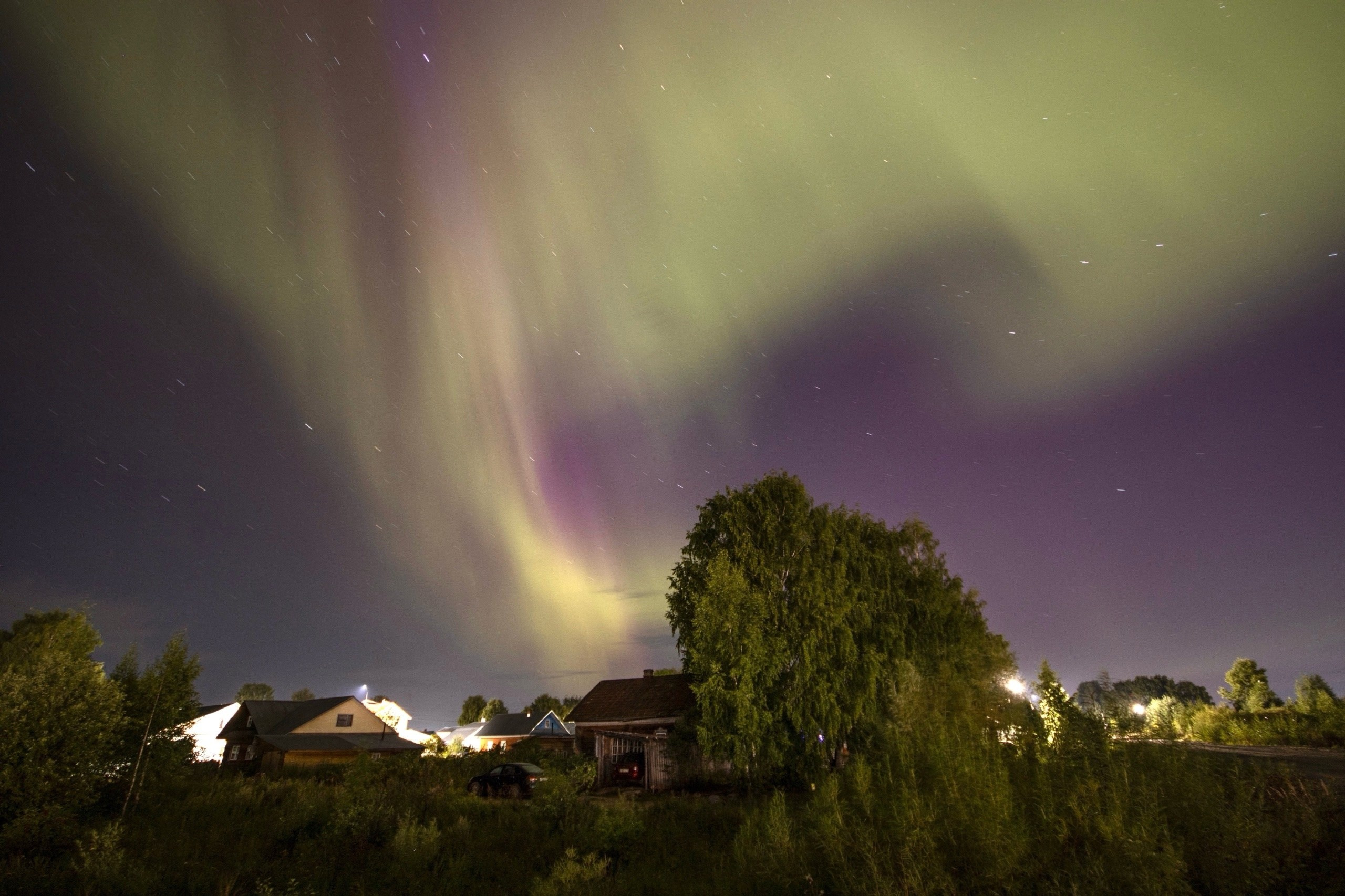 Nature. Фотограф/Видеограф