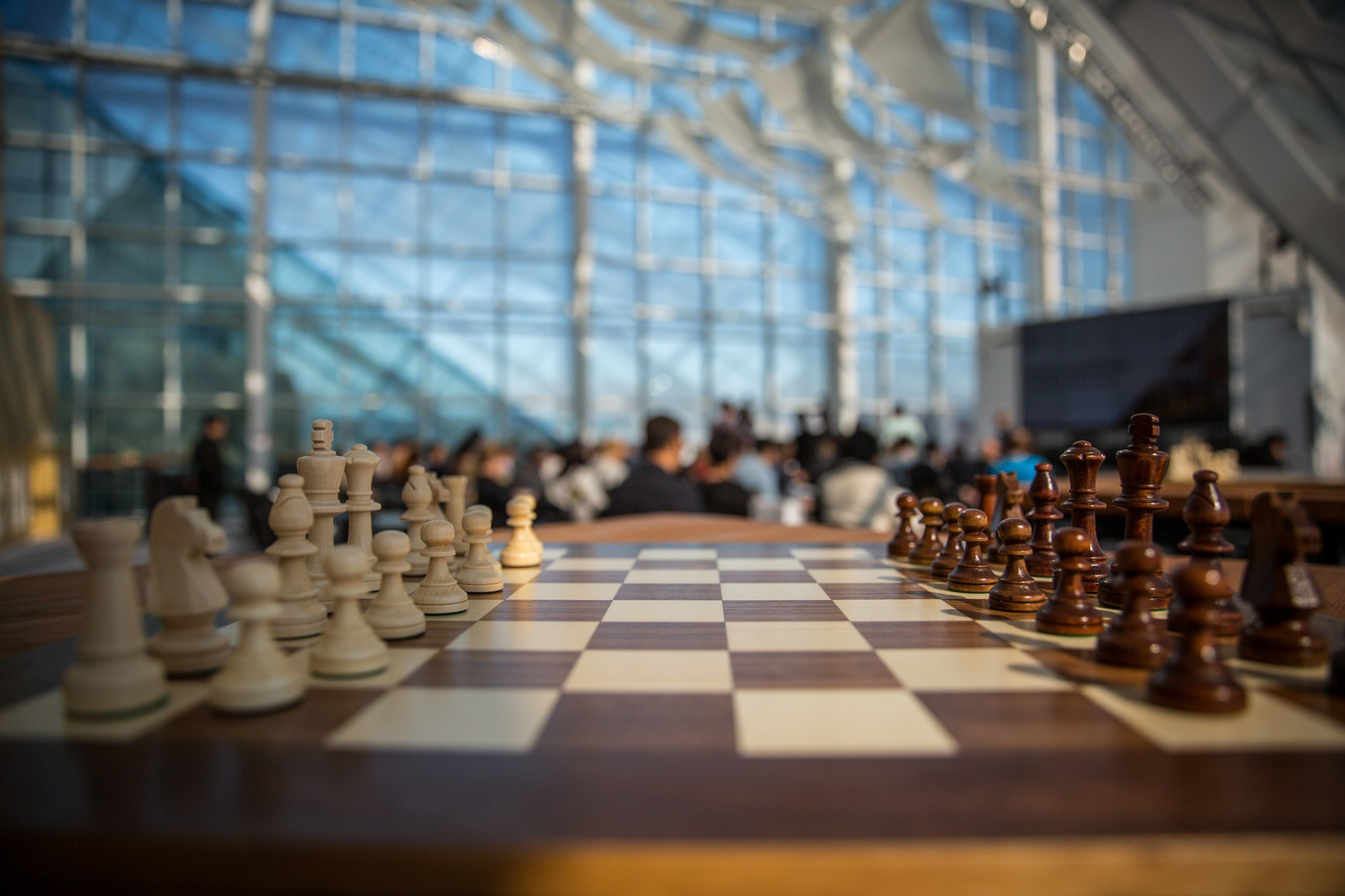 2023 Международная конференция «Шахматы в образовании» (Астана, Казахстан). Фотограф Анна Штурман (репортажная съёмка любых событий и мероприятий) Anna Shtourman photographer