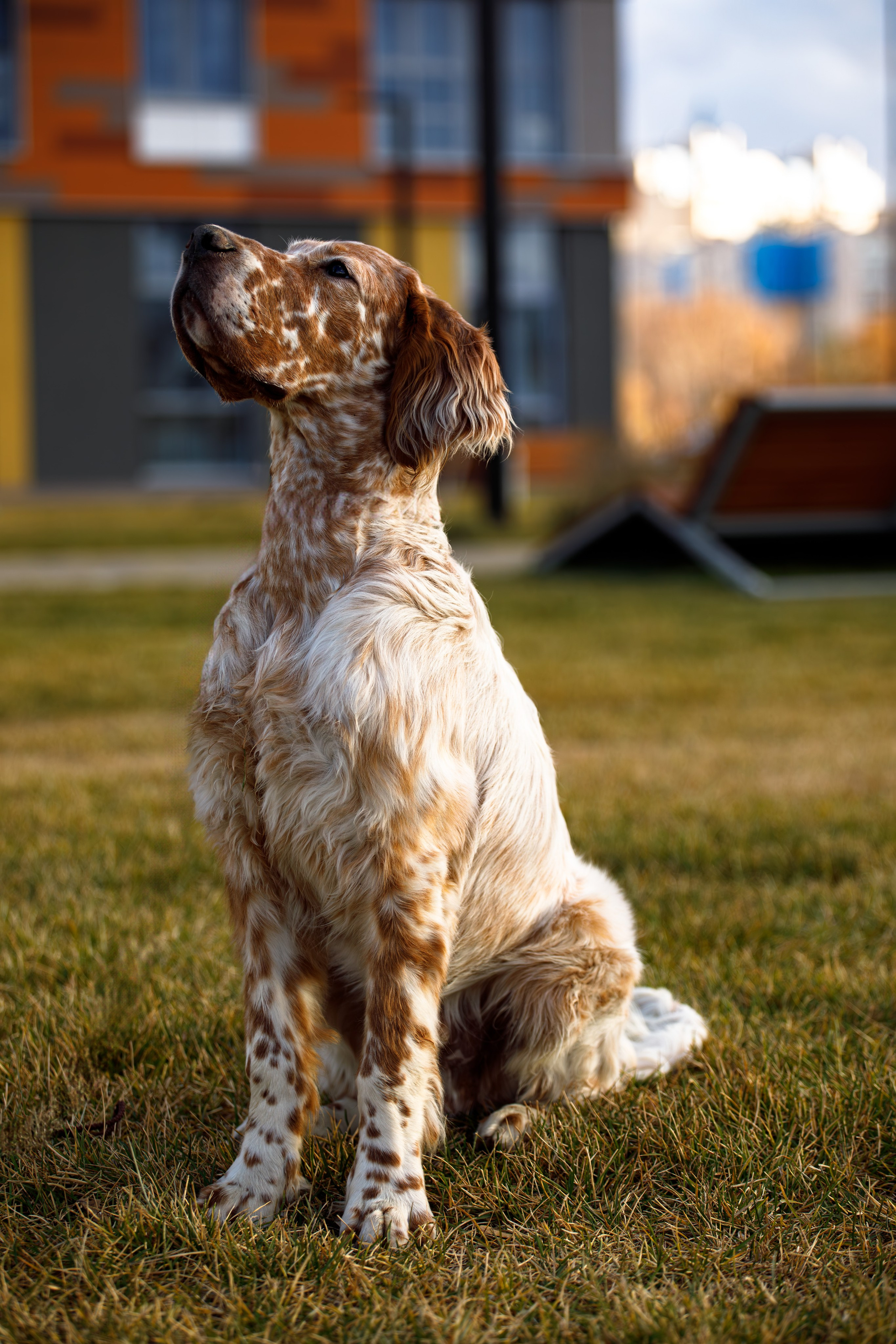 Андрей и Милан. Фотограф Екатерина Козловская