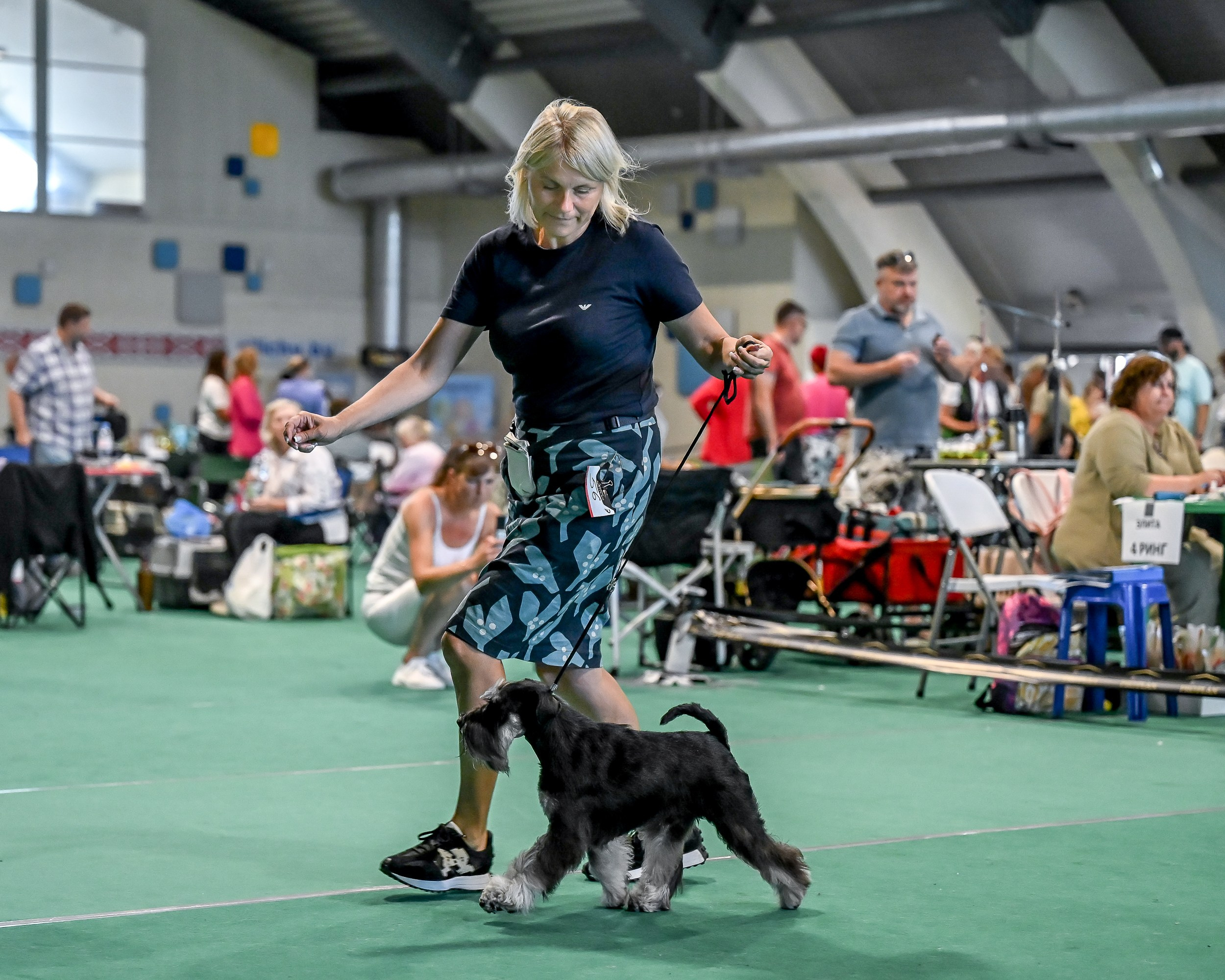 Цафир⚡️DELINSO BALANCE СZAFIR LUMIER