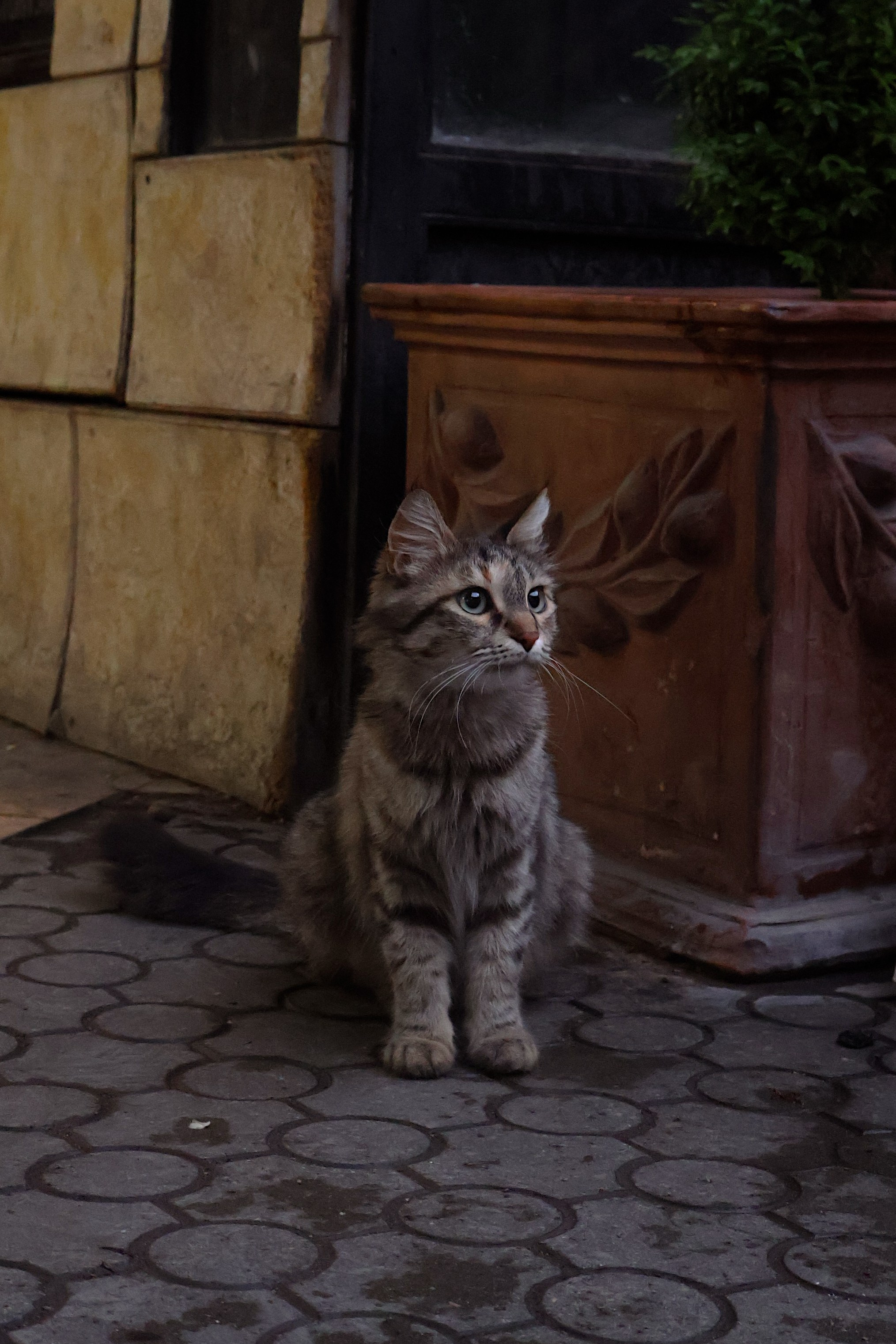 YEREVAN. Элиз — фотограф в Москве. Снимаю людей, архитектуру, город, животных и создаю визуальный контент для брендов