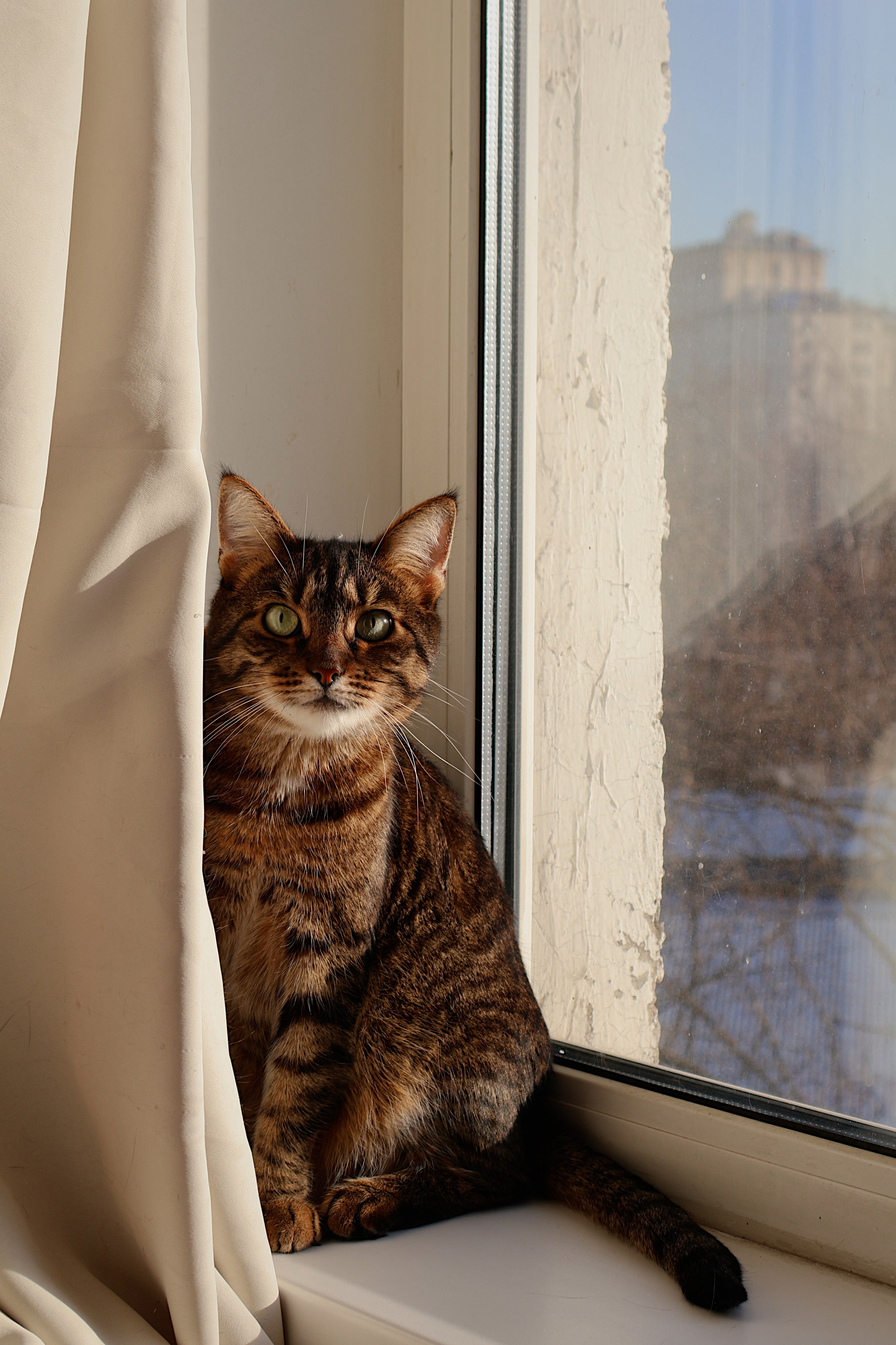 ANIMALS. Элиз — фотограф в Москве. Снимаю людей, архитектуру, город, животных и создаю визуальный контент для брендов