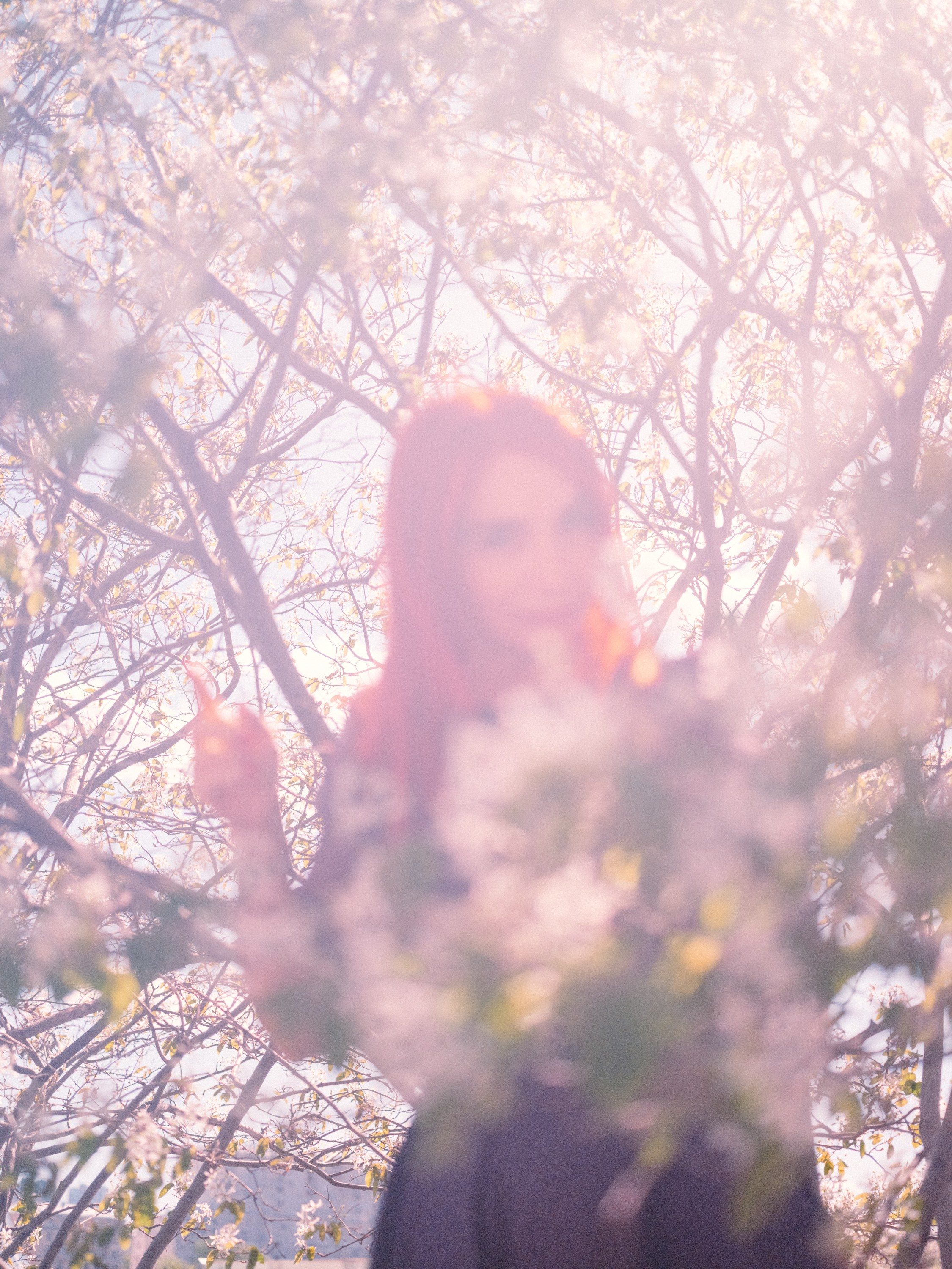 Японская Весна (Лена). Андрей Иванов. фотографические практики