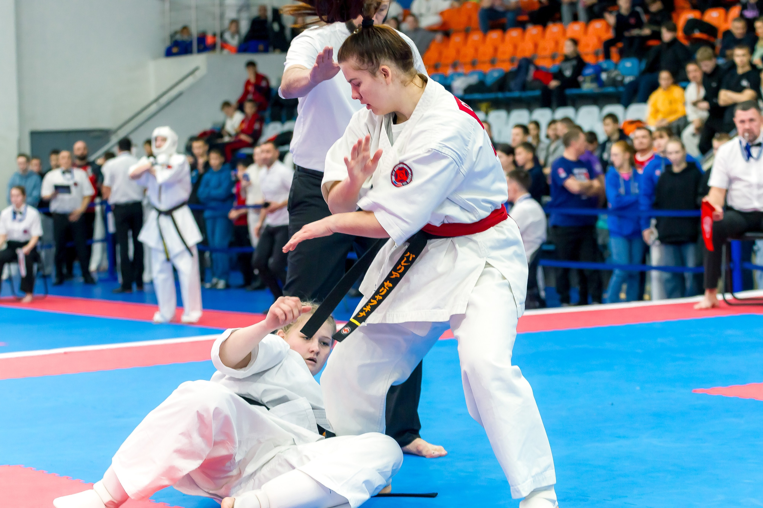 Соревнования по Киокушин памяти С. Увицкого. Репортажная съемка в Москве и области. Анималистика