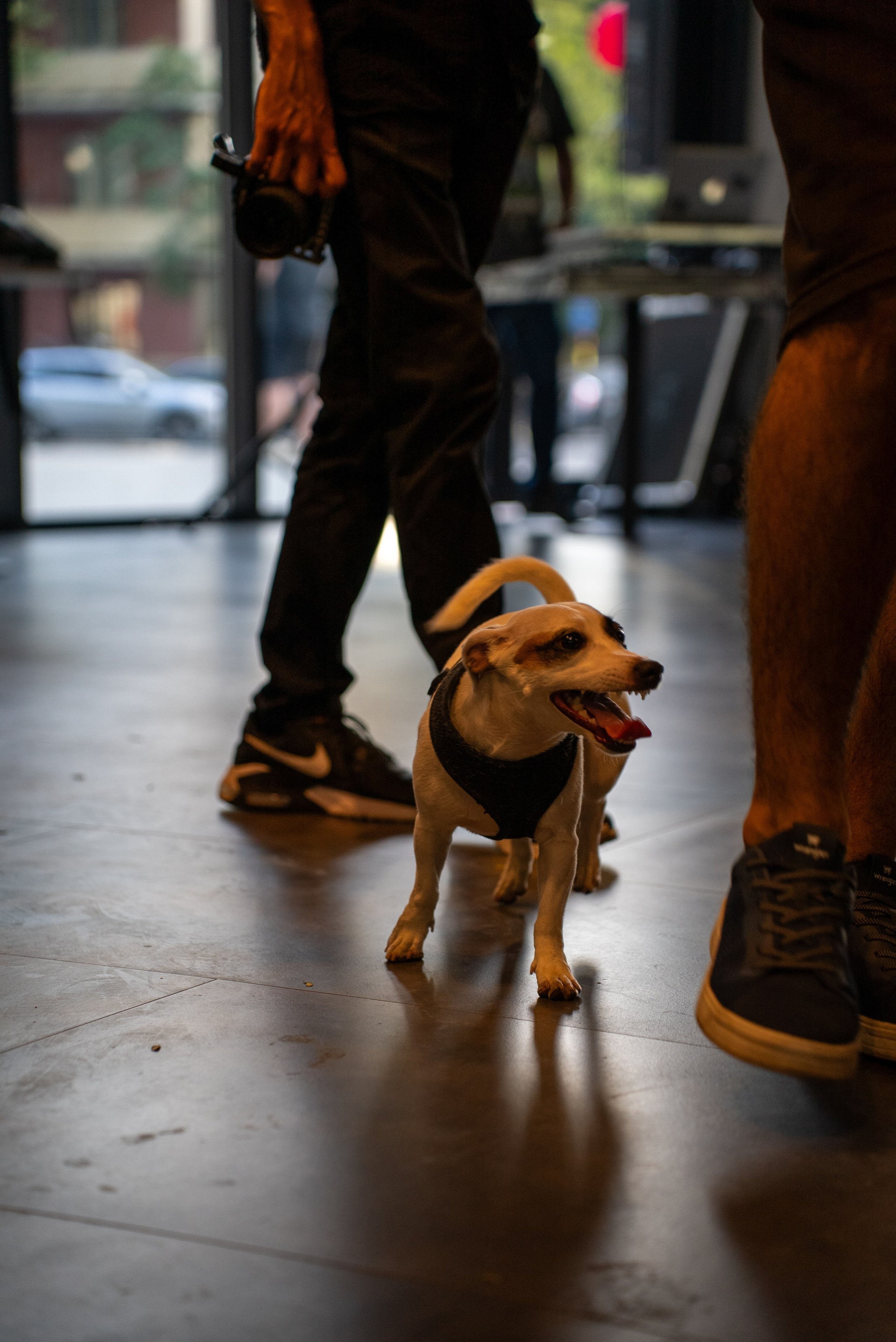 Фотосъёмка открытия ресторана