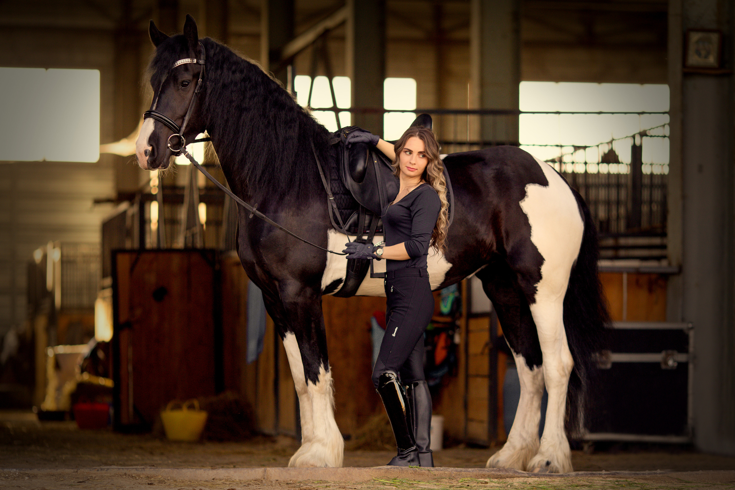 Фотосессия с лошадью барокпинто