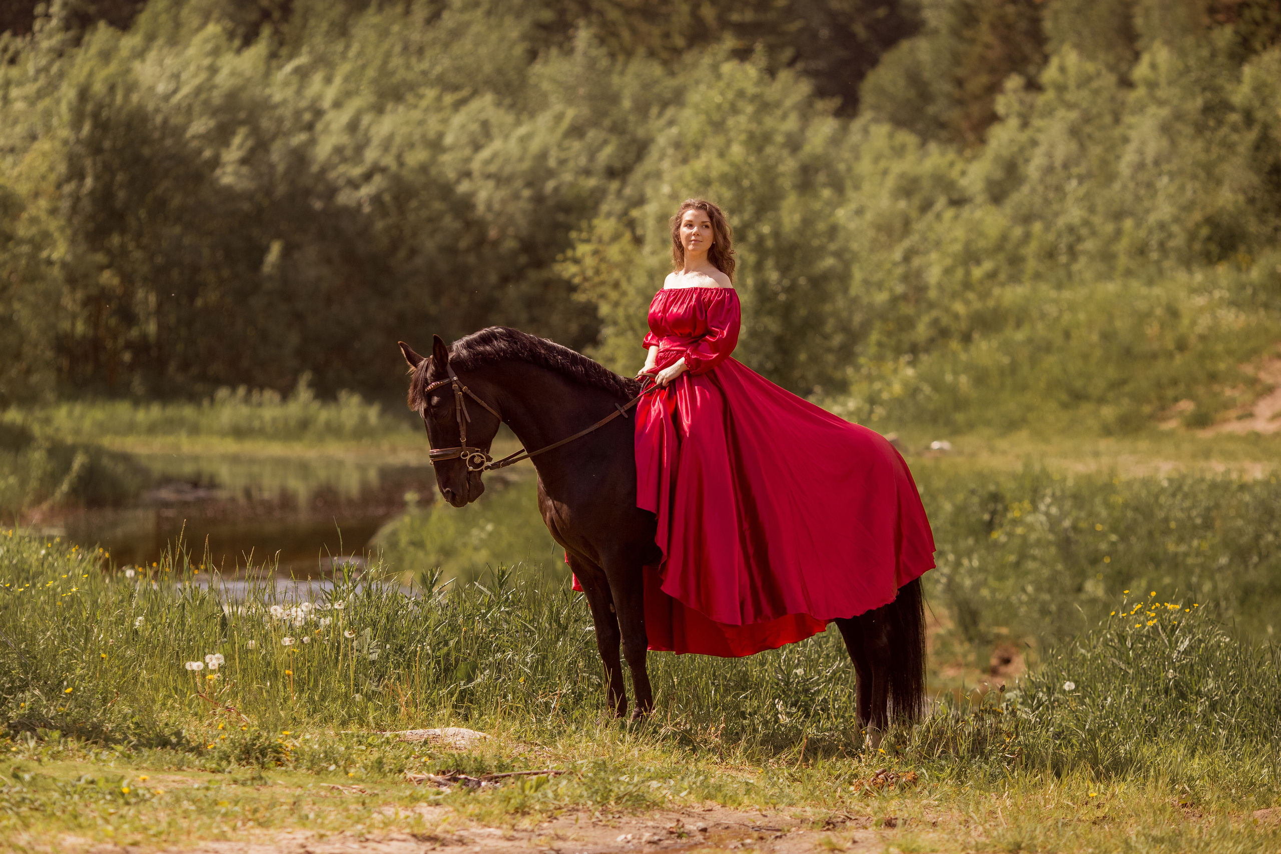 Съёмка с лошадью в лесу