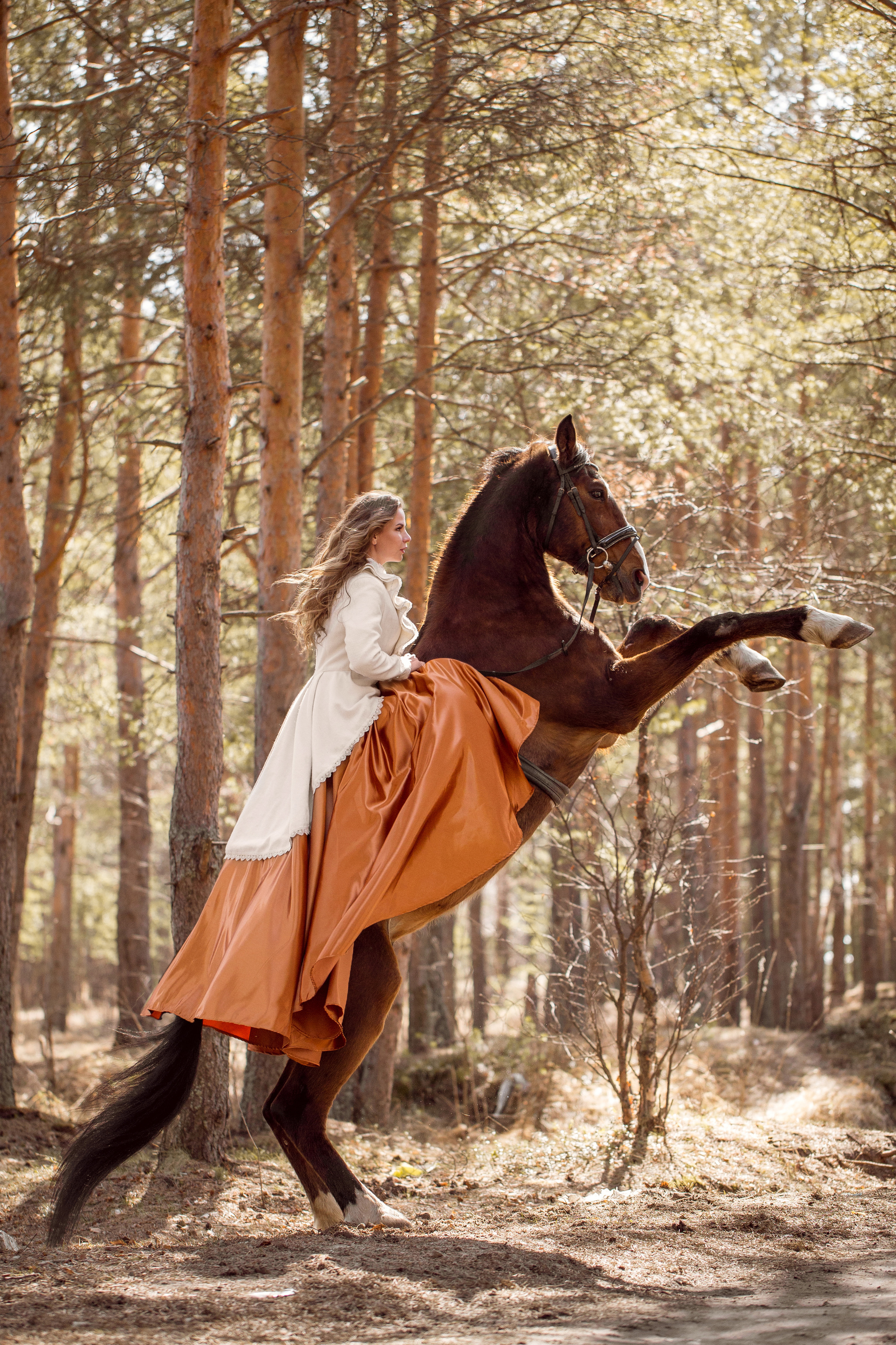 Фотосессия в сосновом бору с лошадью
