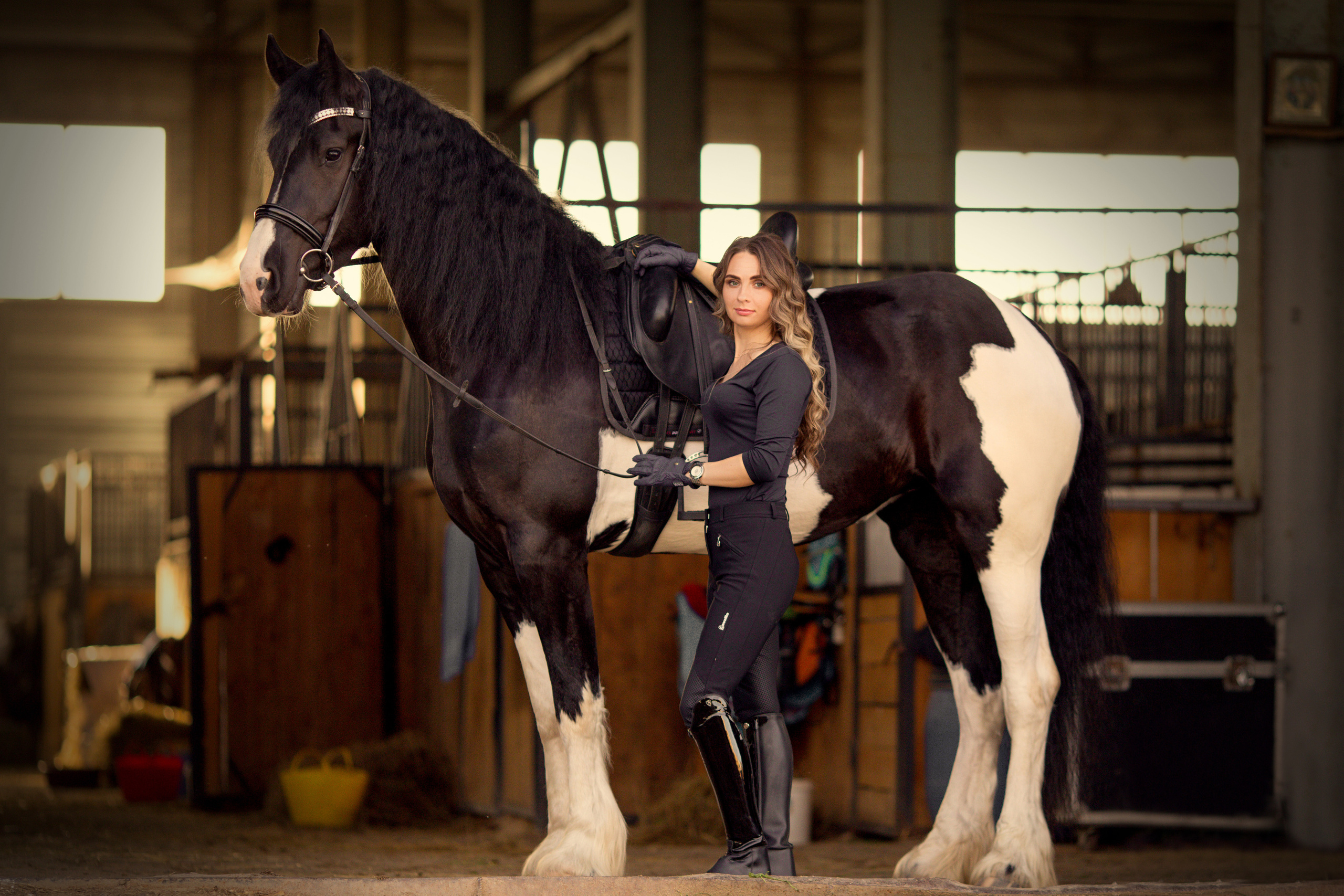 Фотосессия с лошадью барокпинто