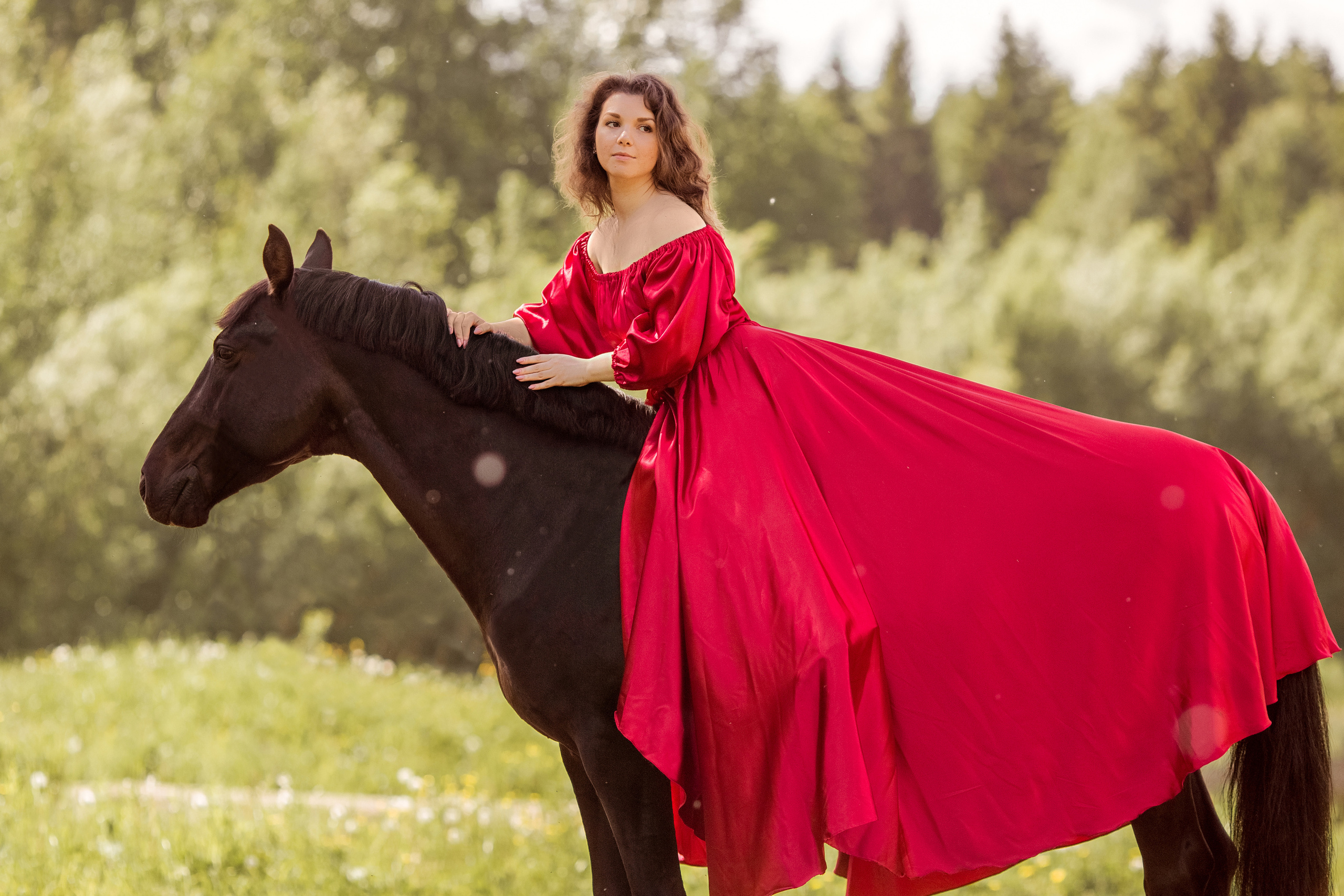 Съёмка с лошадью в лесу