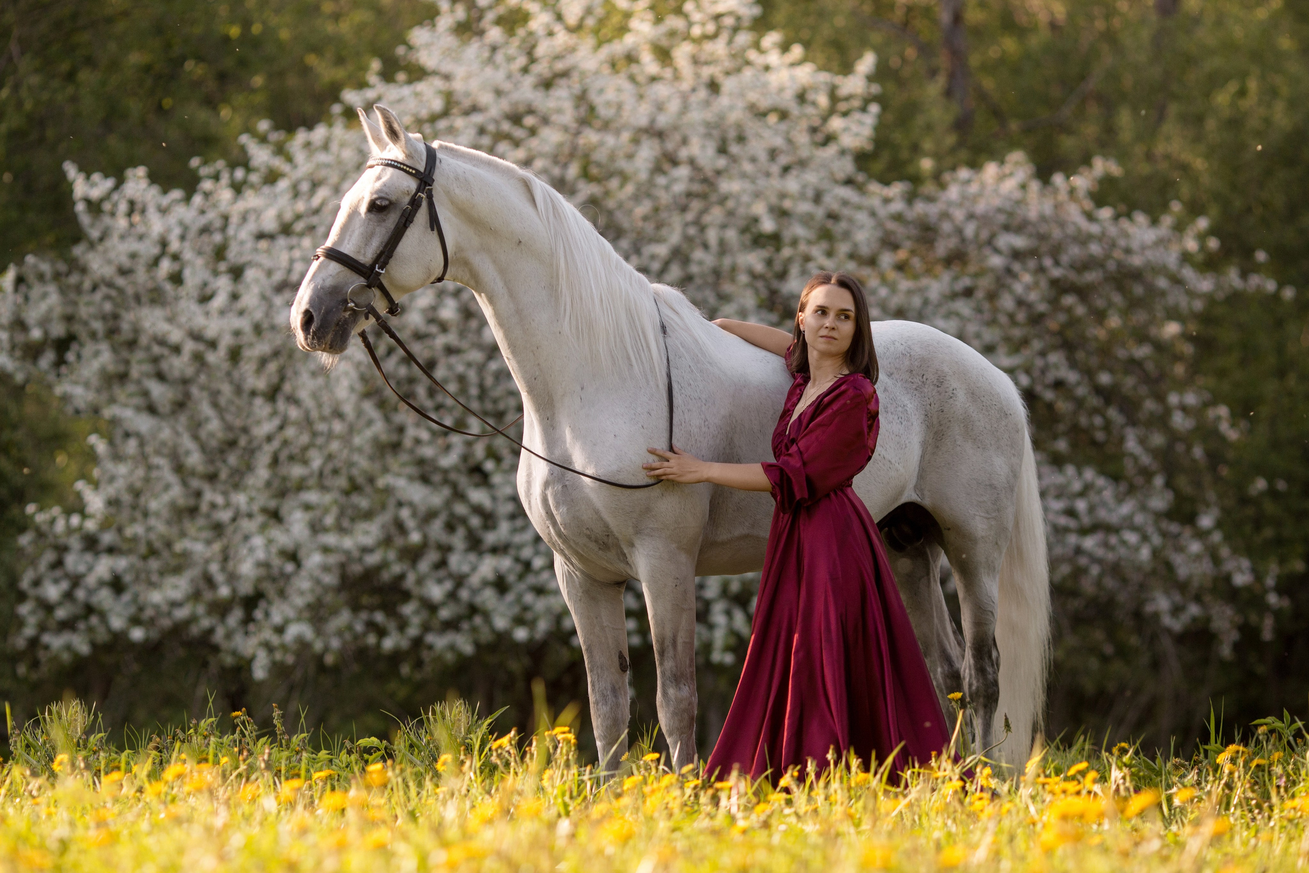 Фотосессия в цветущей яблоне с лошадью