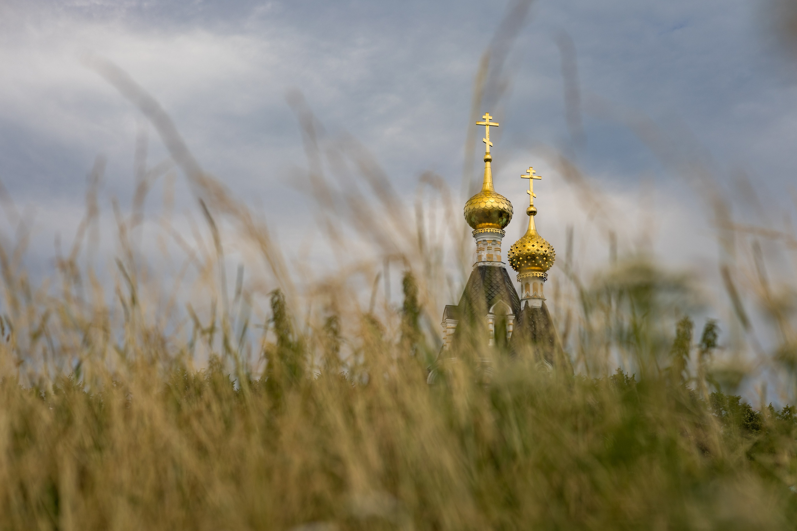 Церковь Елисаветы Праведной. Кафедральный собор Успения Пресвятой Богородицы, Дмитров, Дмитровский кремль. Фотовыставка Церкви и храмы России.