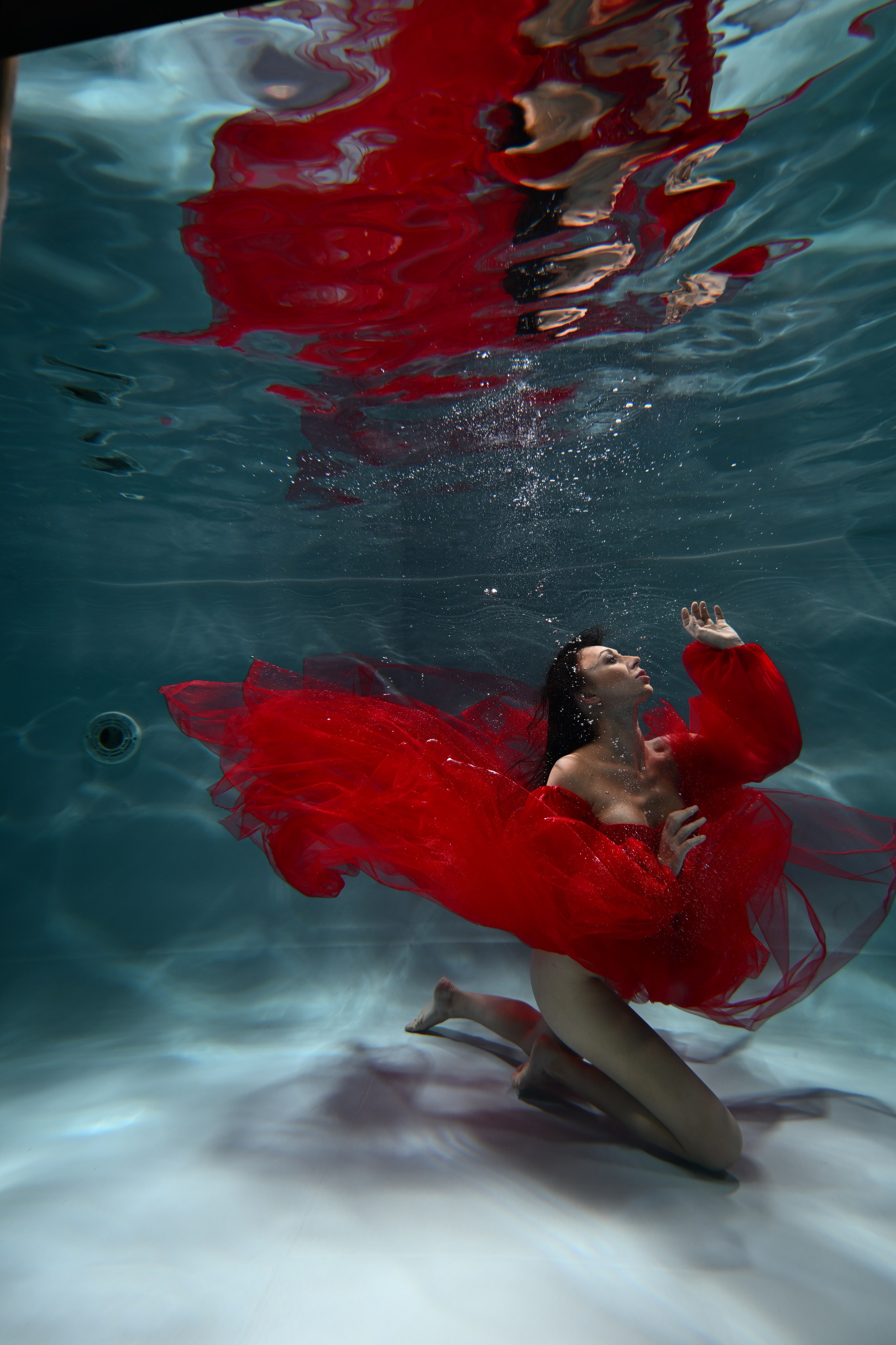 Аква студия НЕМО. Фотограф в Санкт-Петербурге Сафронов Николай