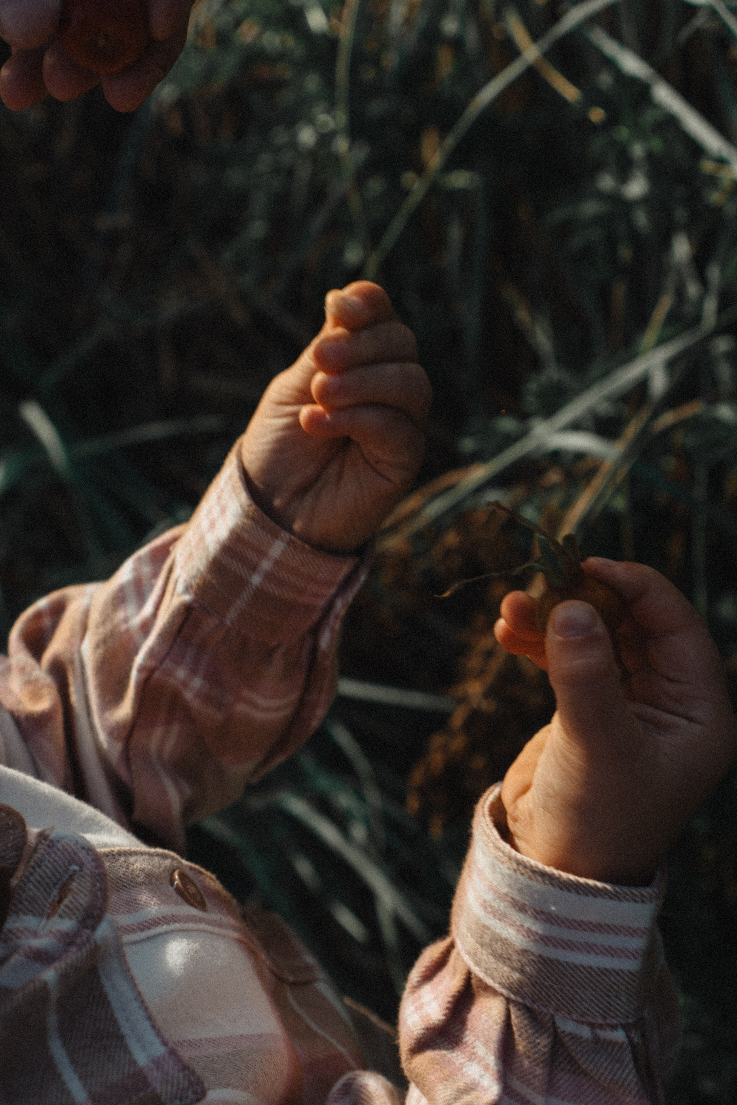 МАМА И ДОЧКА НА ФИНСКОМ ЗАЛИВЕ. Профессиональный фотограф, Санкт-Петербург — Виктория Богомолова
