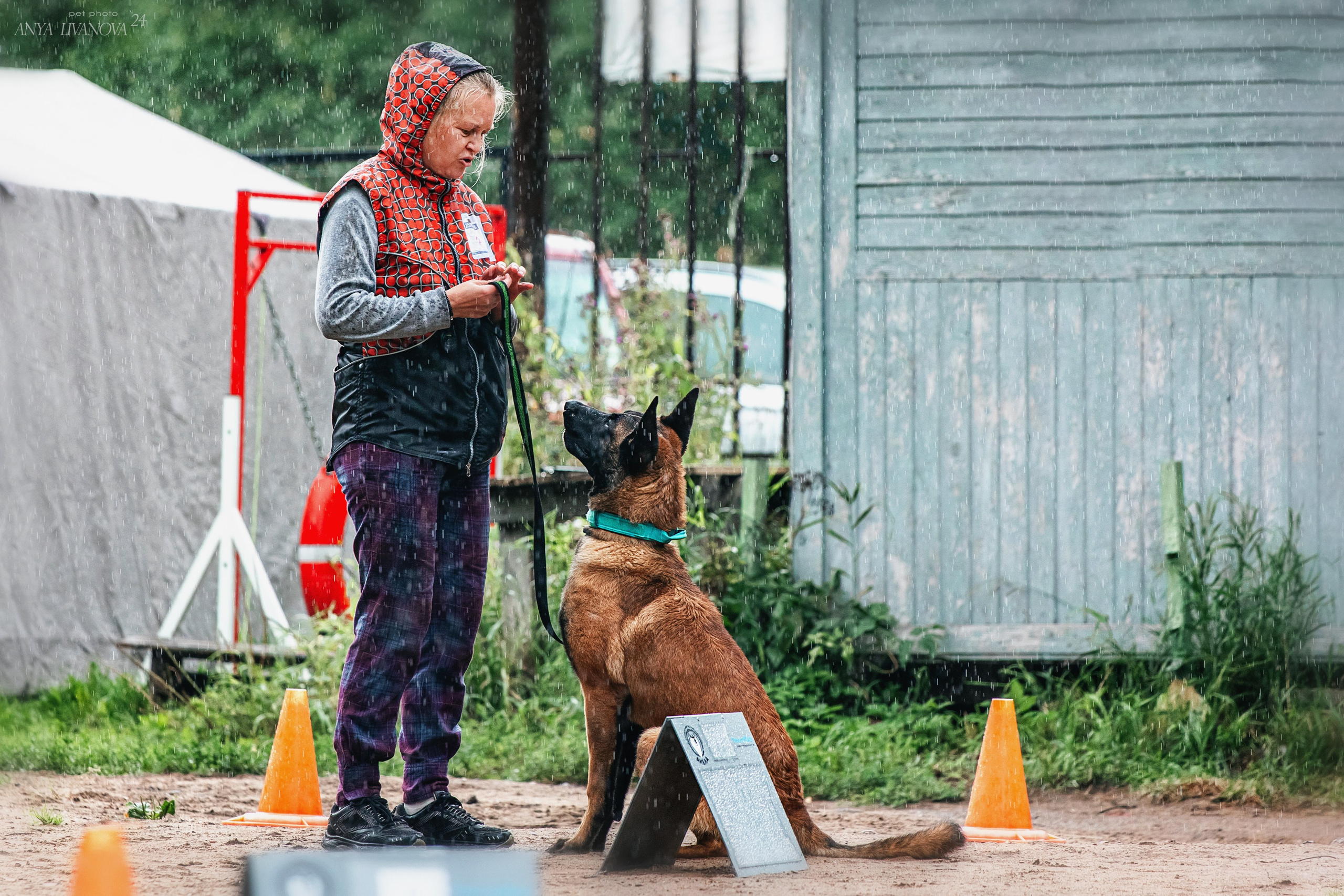 Ралли «Акела». Фотограф анималист Аня Ливанова | Рыбинск