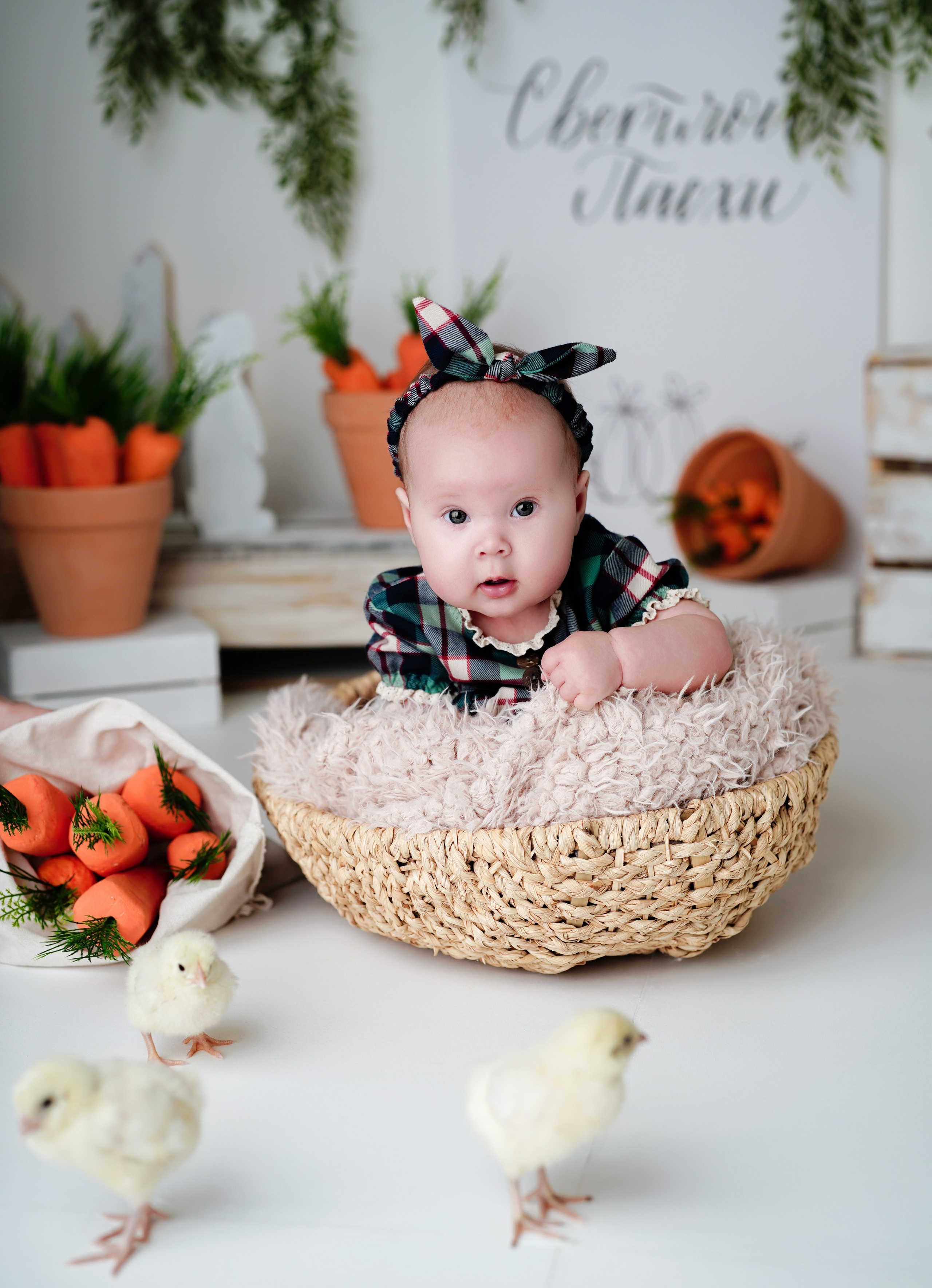 ФОТОСЕССИИ В СТУДИИ от 4х месяцев. Фотограф новорожденных в Нижнем Новгороде Сергеева Оксана