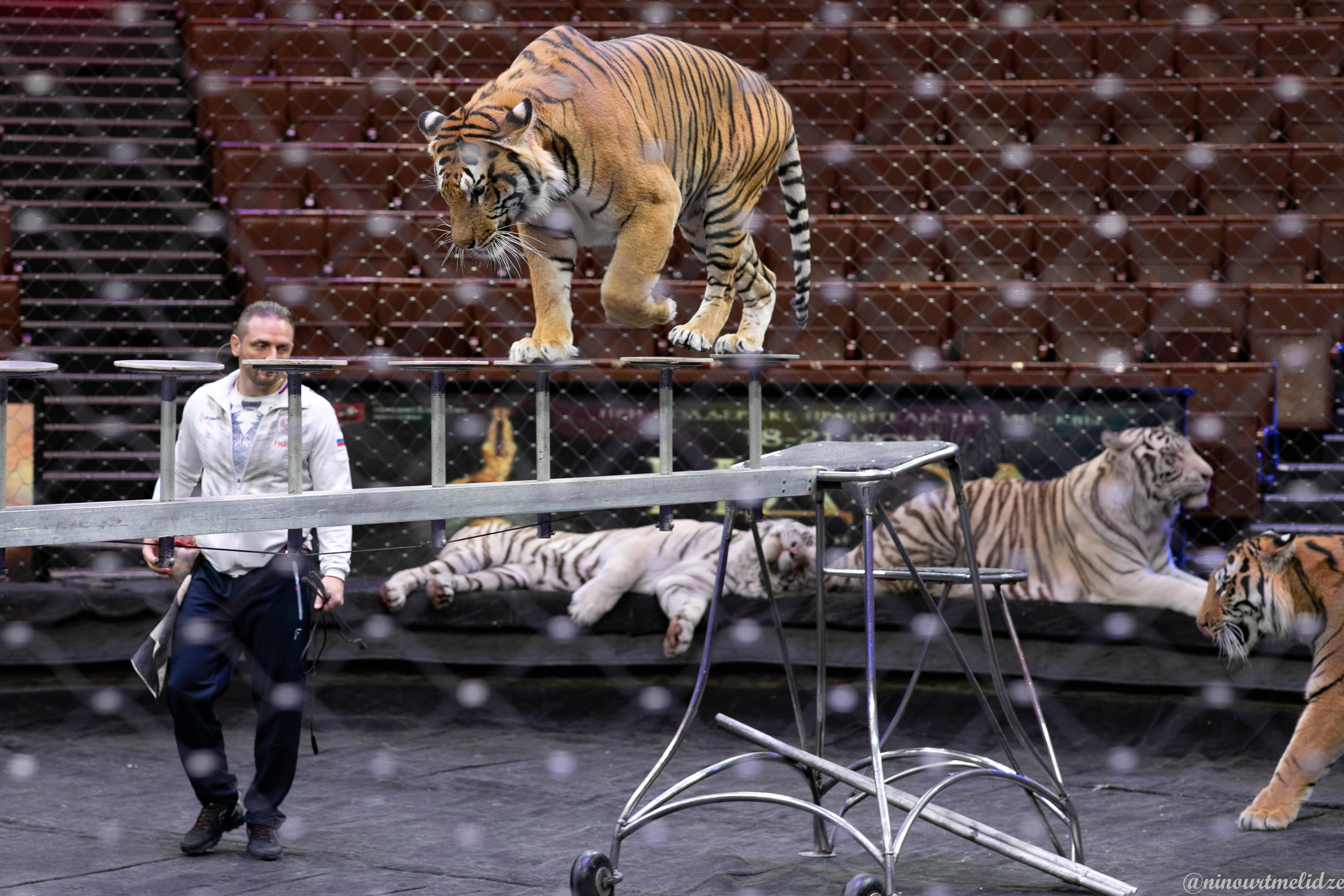 В закулисье у братьев Запашных. Art photographer Nino