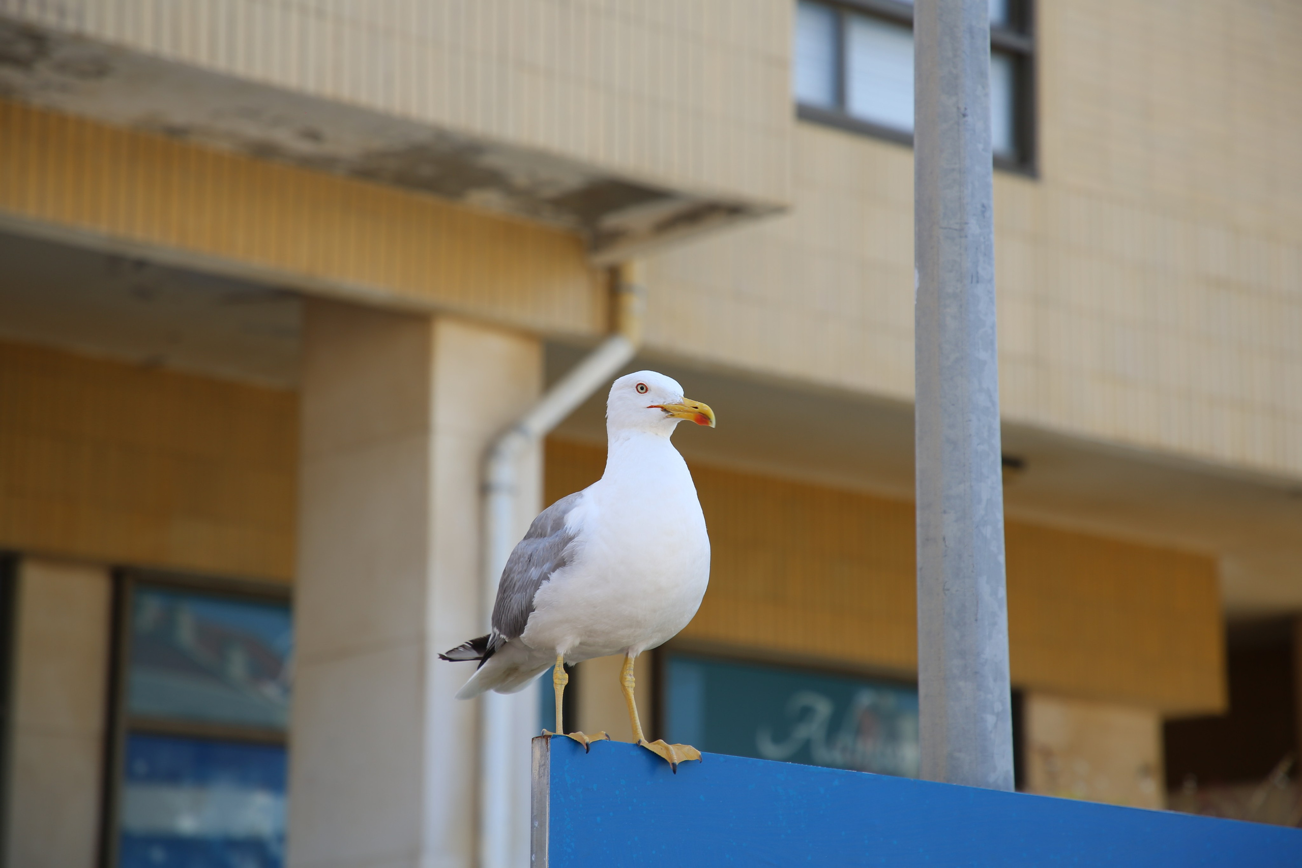 Espihnio, Portugal. Andrey Filippov Photographer