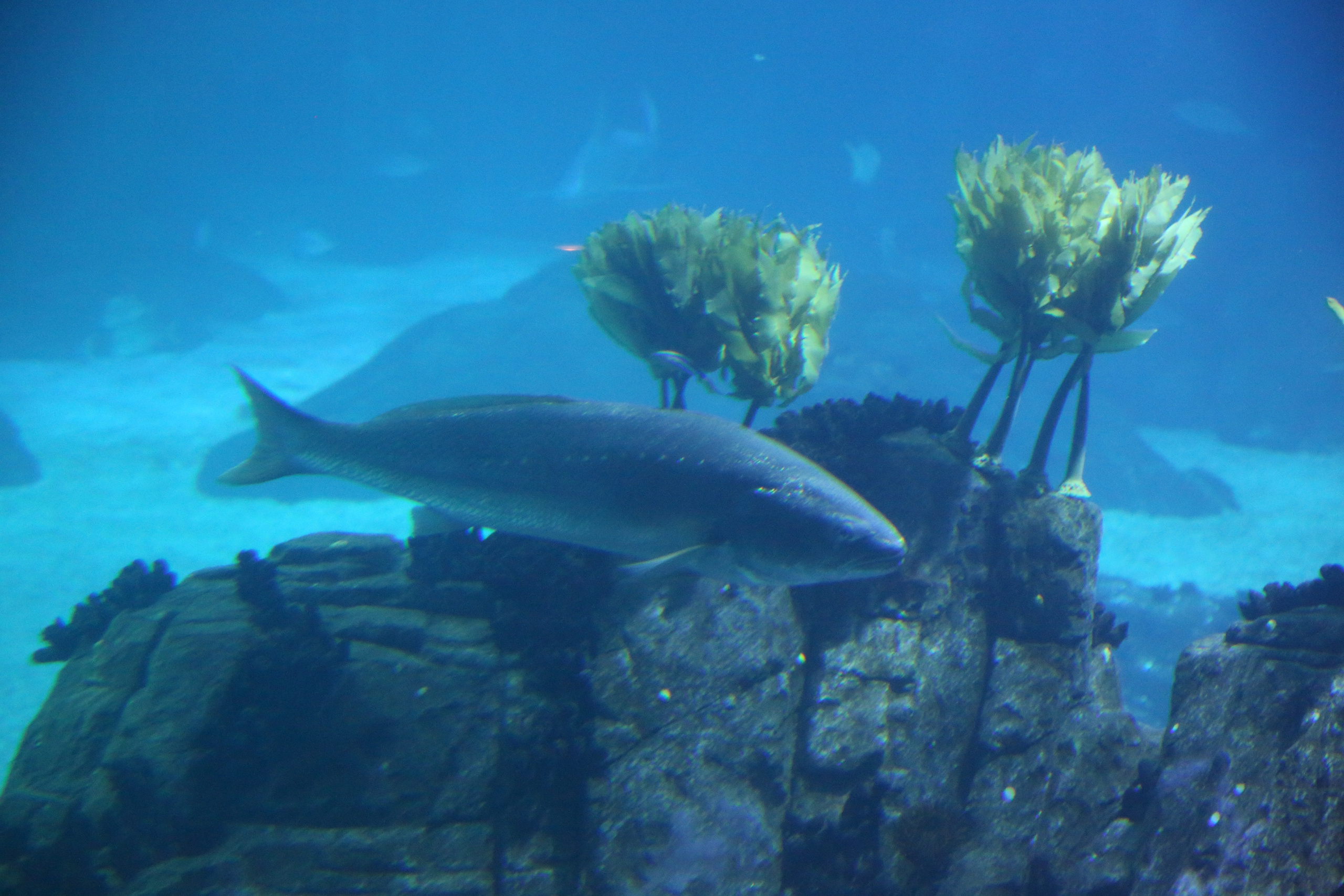 Lisbon, Portugal. Andrey Filippov Photographer