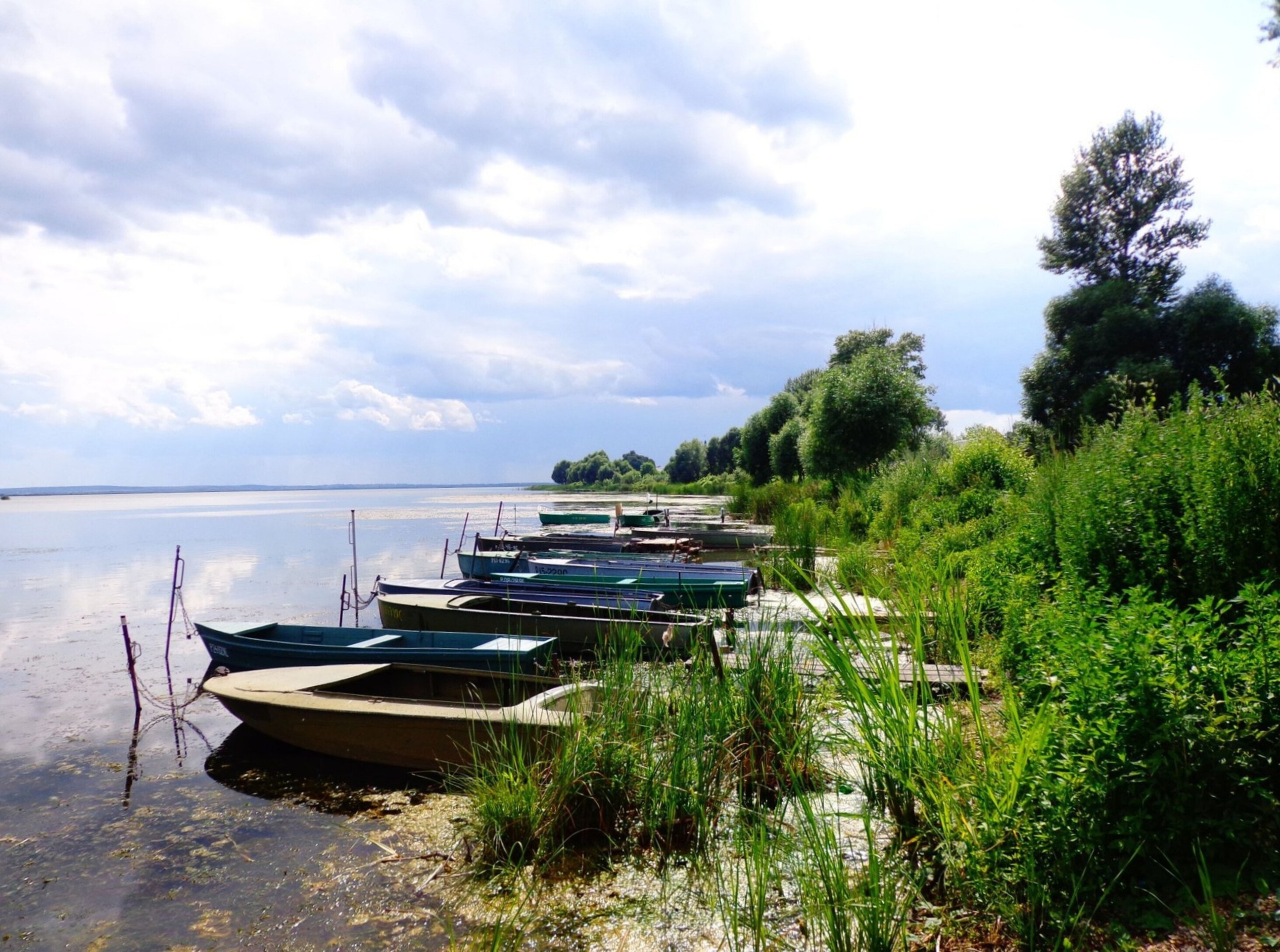 Nature. Надежда Козлова, фотограф, Санкт — Петербург