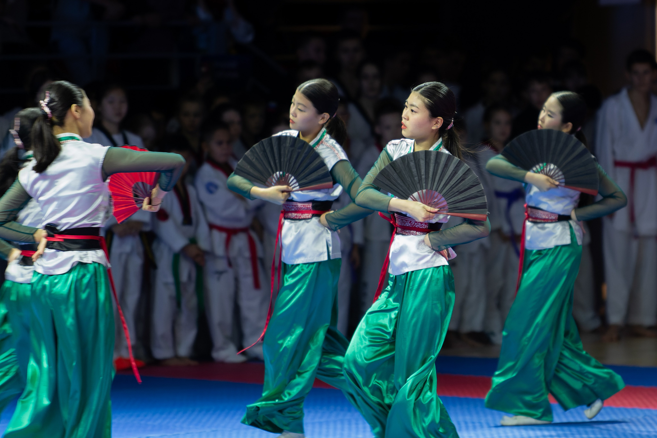 Дальневосточный фестиваль восточных единоборств. Кутузов Евгений Фотограф в Южно-Сахалинске