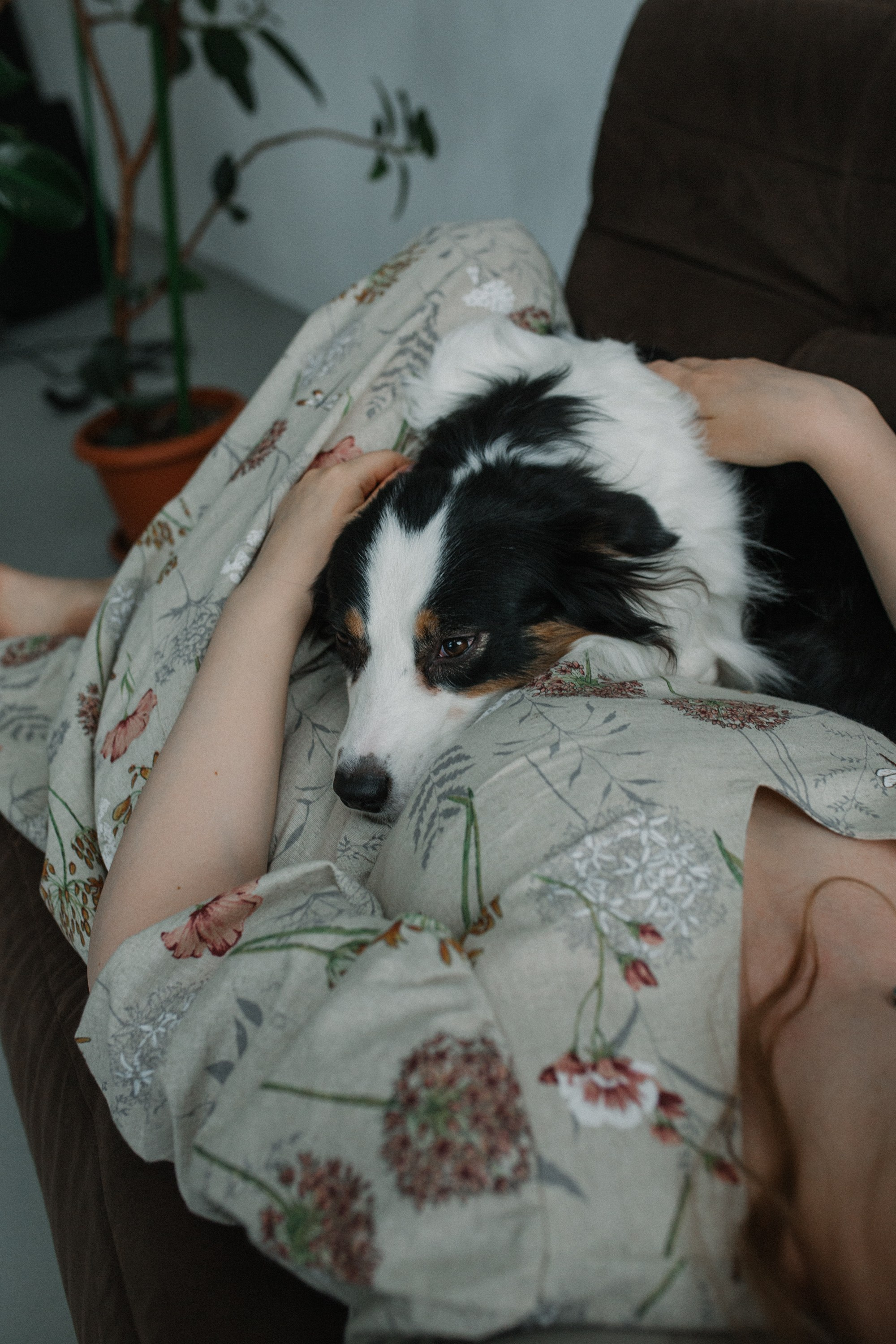 Трое в лодке не считая собаки. Фотограф Оля Батист