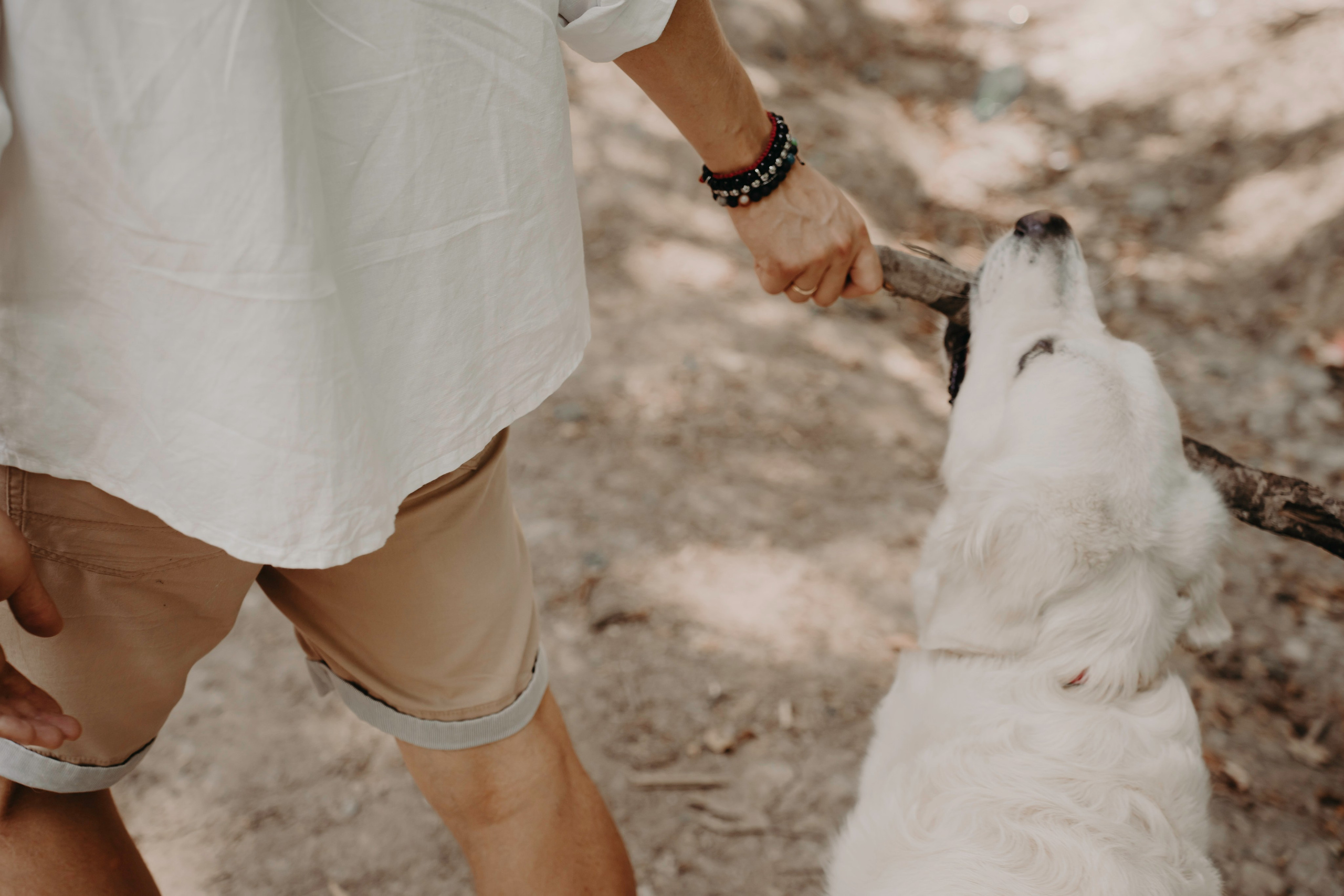 Прогулка в лесу. Фотограф Ирина Ликсунова
