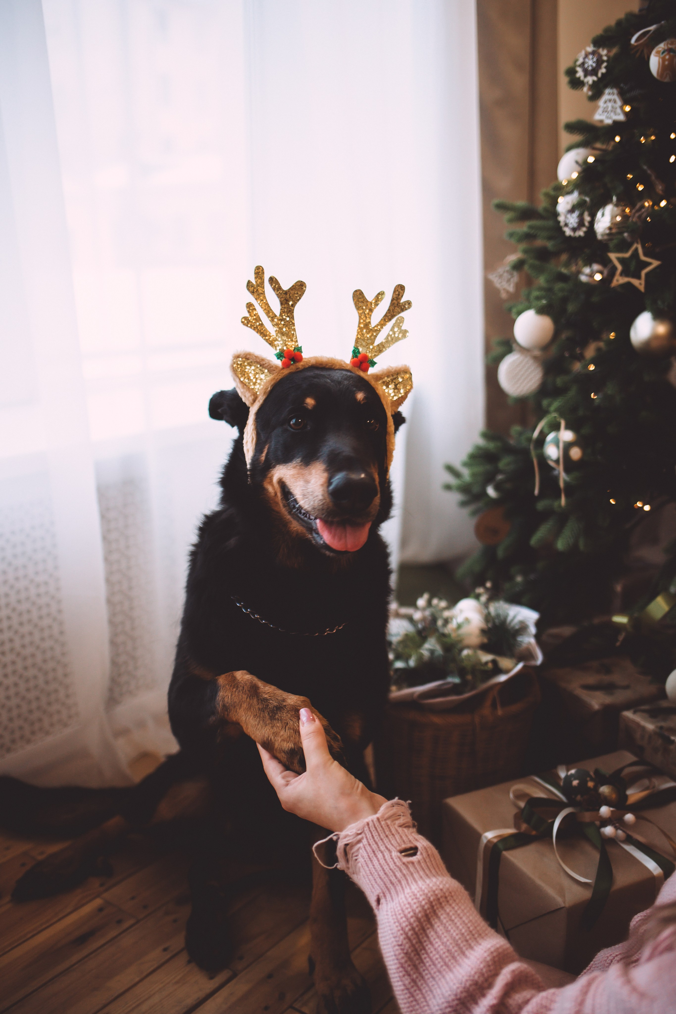 Антон & Полина. Анна Михайлова|Свадебный фотограф в Санкт-Петербурге