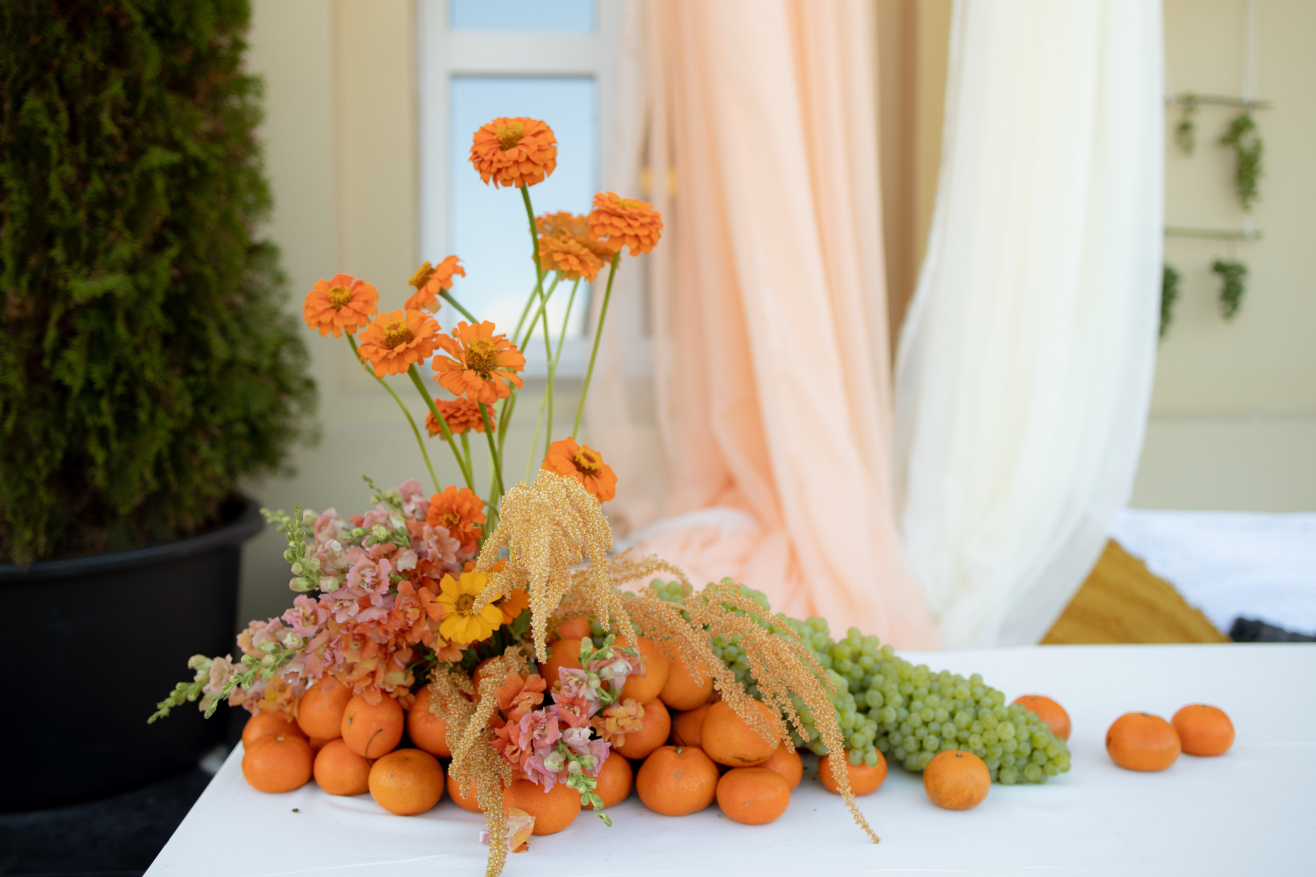 ДР Дианы. Пекин. Оформление свадеб, декор свадеб Вера Маркова, Москва