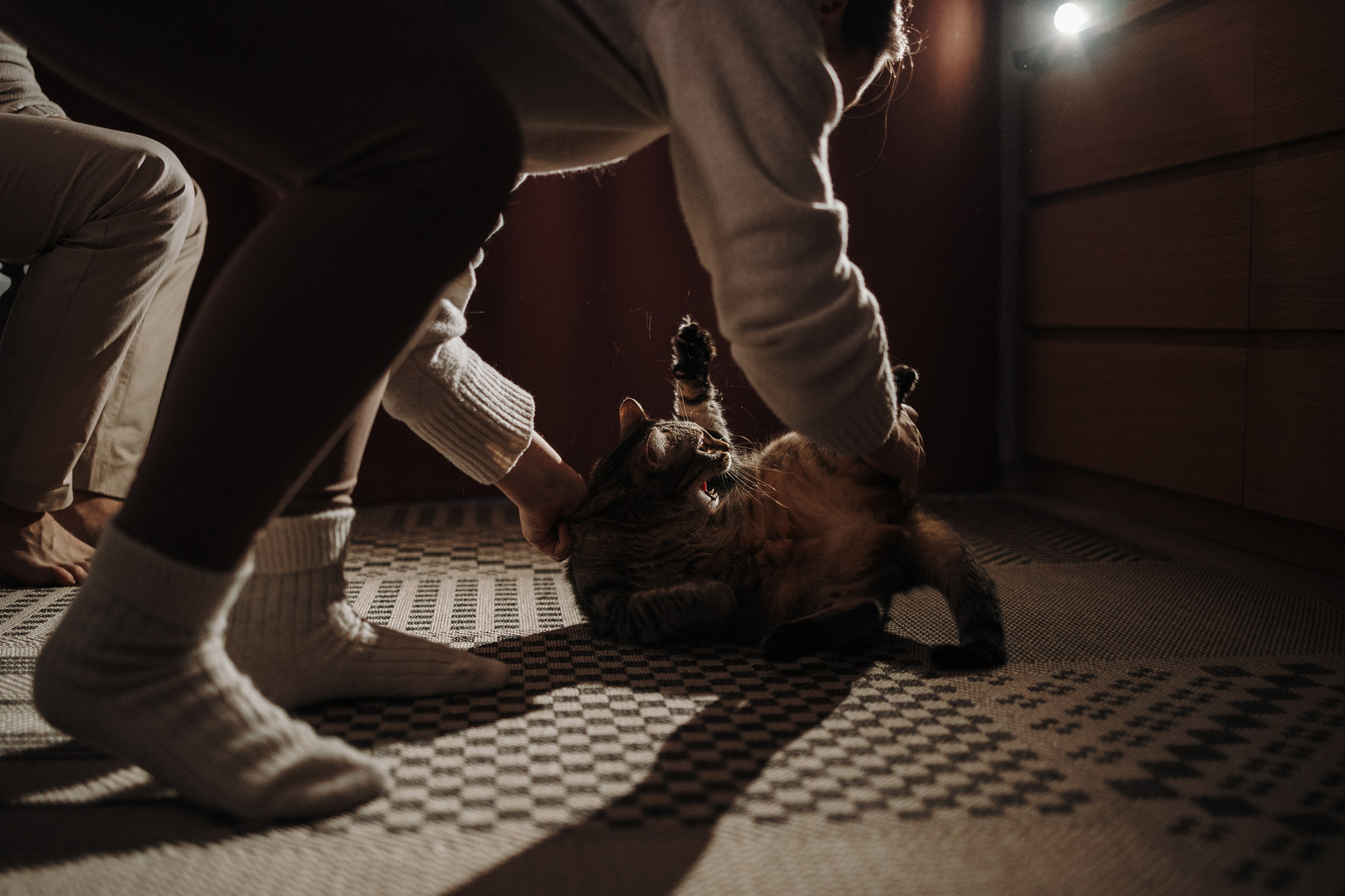 Мася и ее семья. Фотограф — Анималист | Санкт-Петербург