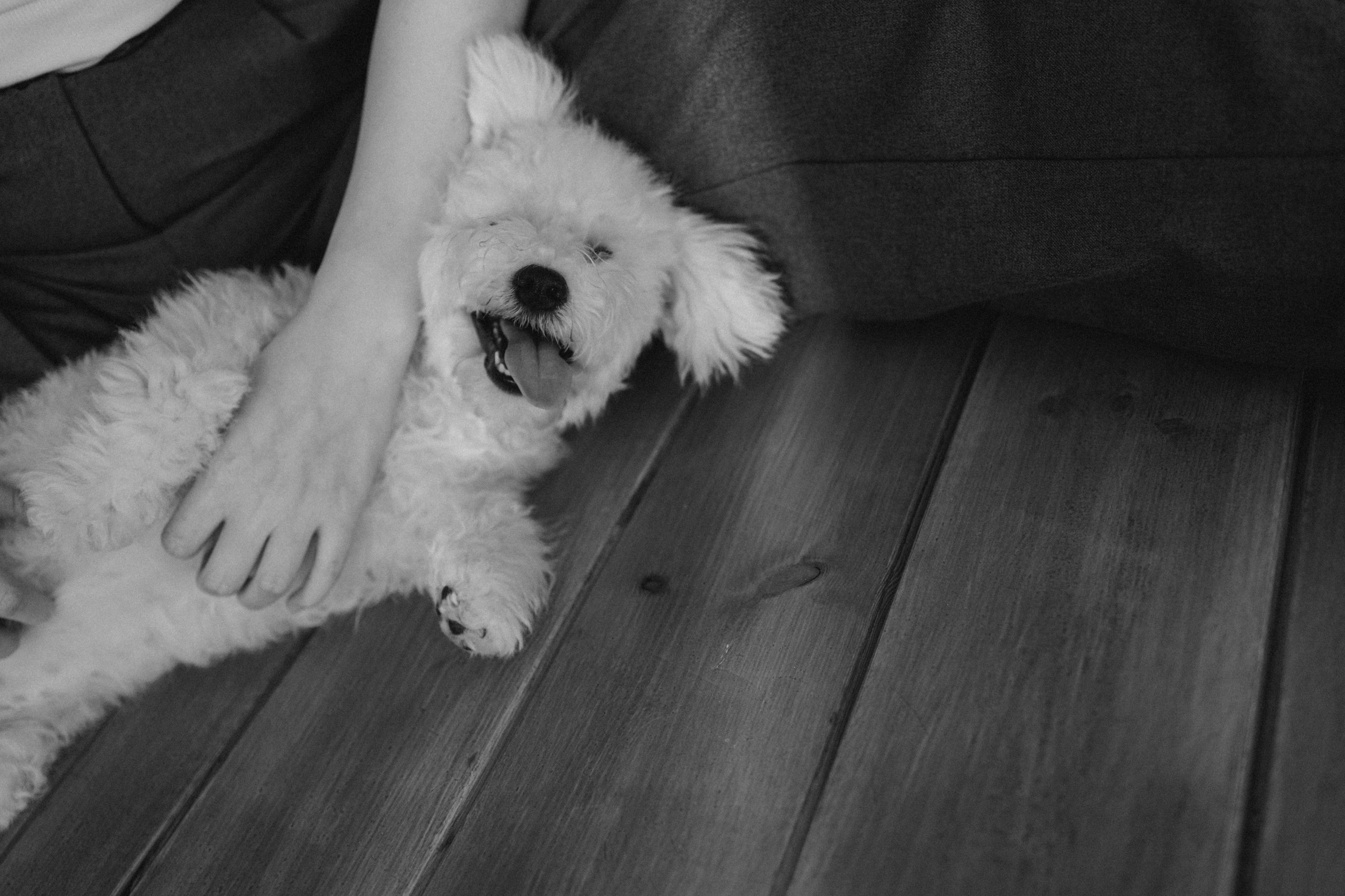 Луна и ее семья. Фотограф — Анималист | Санкт-Петербург