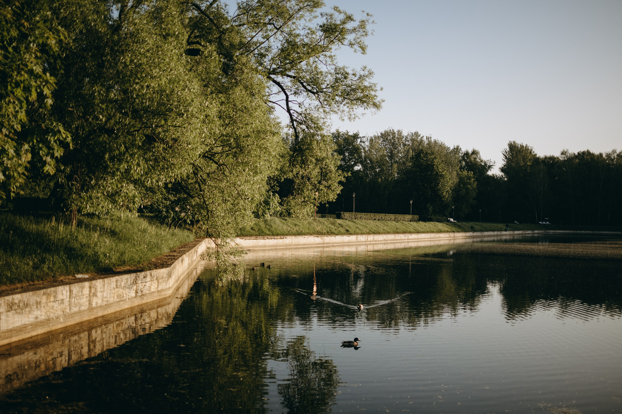 Татьяна, Сергей и их Булочка и Пончик. Фотограф — Анималист | Санкт-Петербург