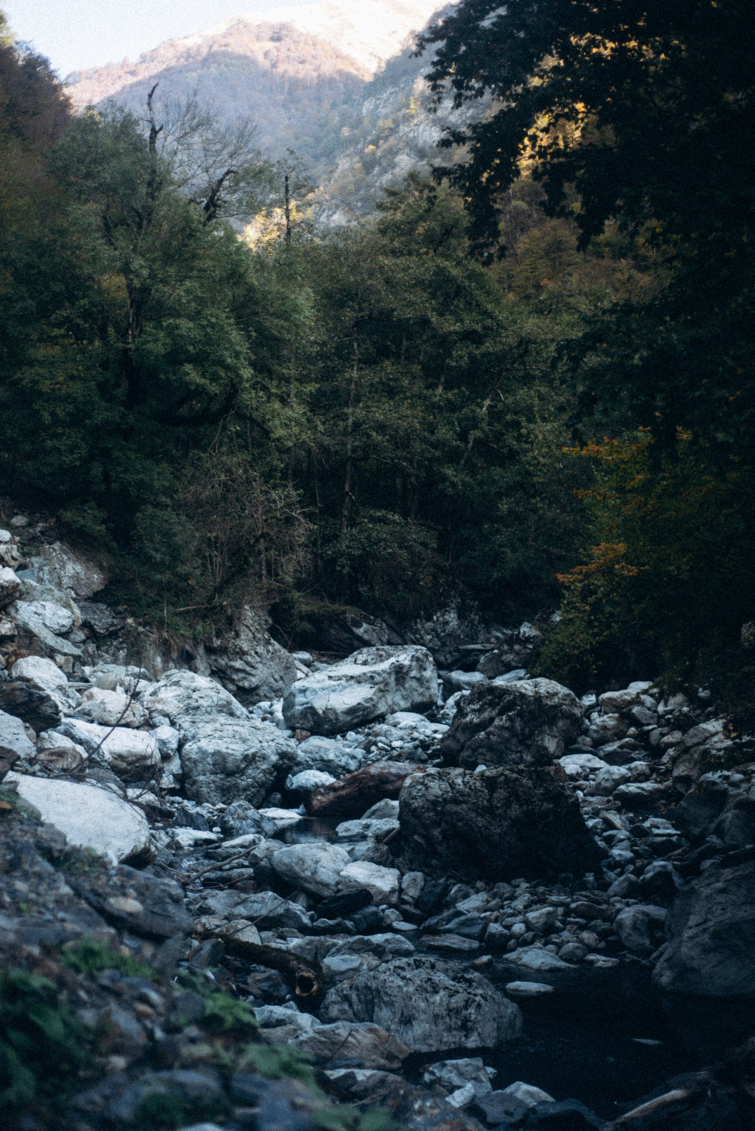 Конный поход 🇬🇪 «PVD Club». Anita_photo