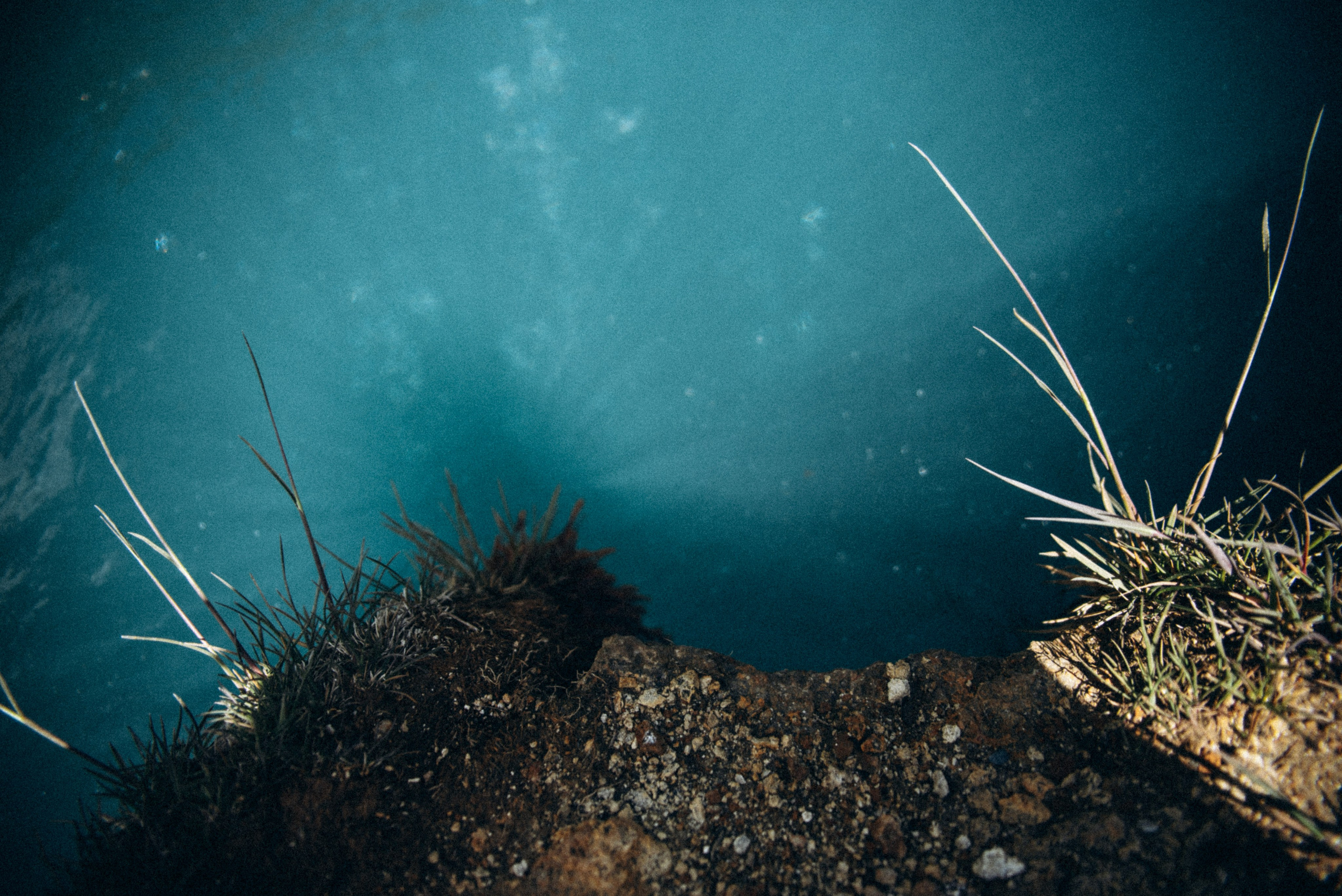 Долина Трусо, Грузия🇬🇪«Honey Trip». Anita_photo