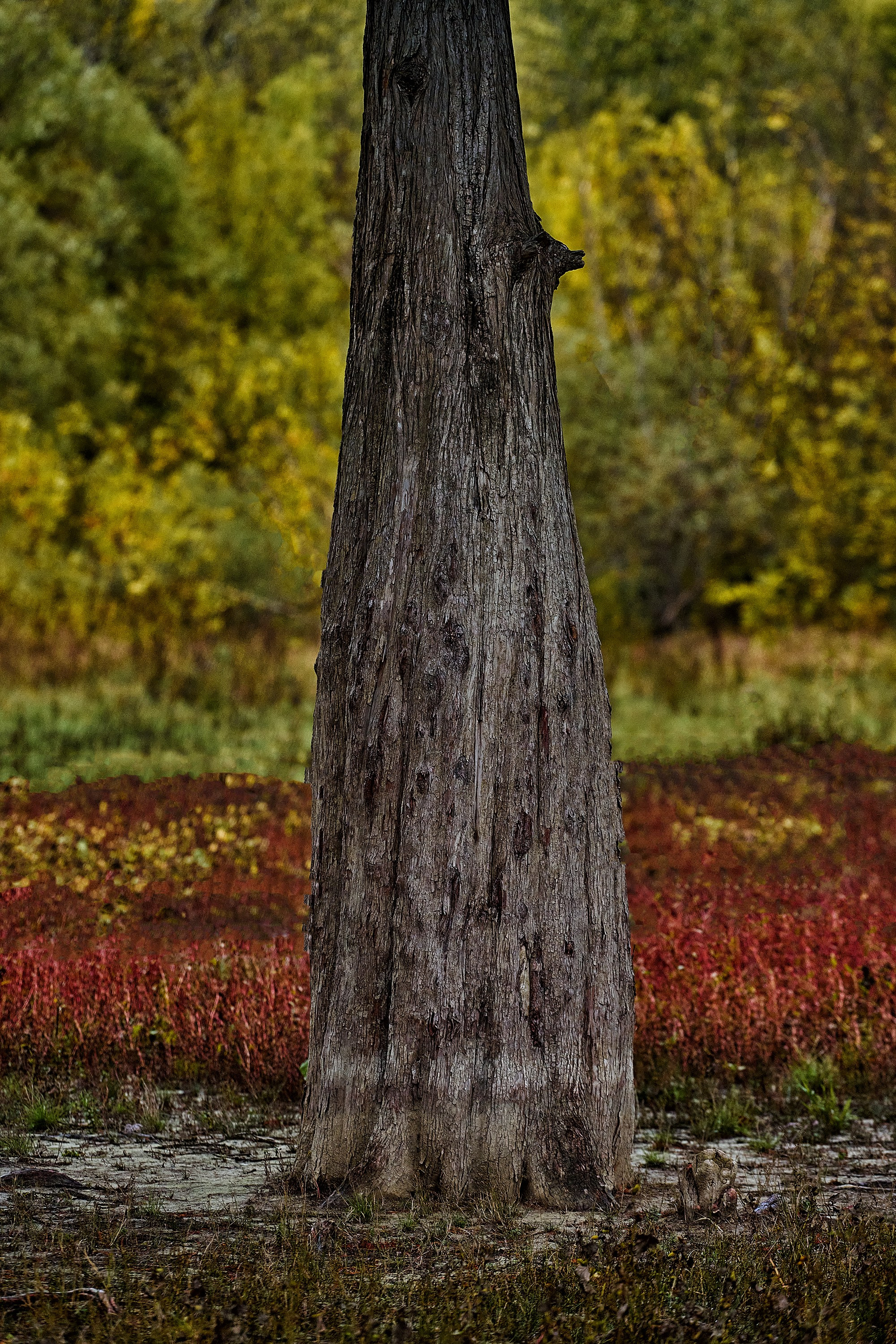 Текстуры и другие фоны. Textures and other. Яркие фото на Чёрном море