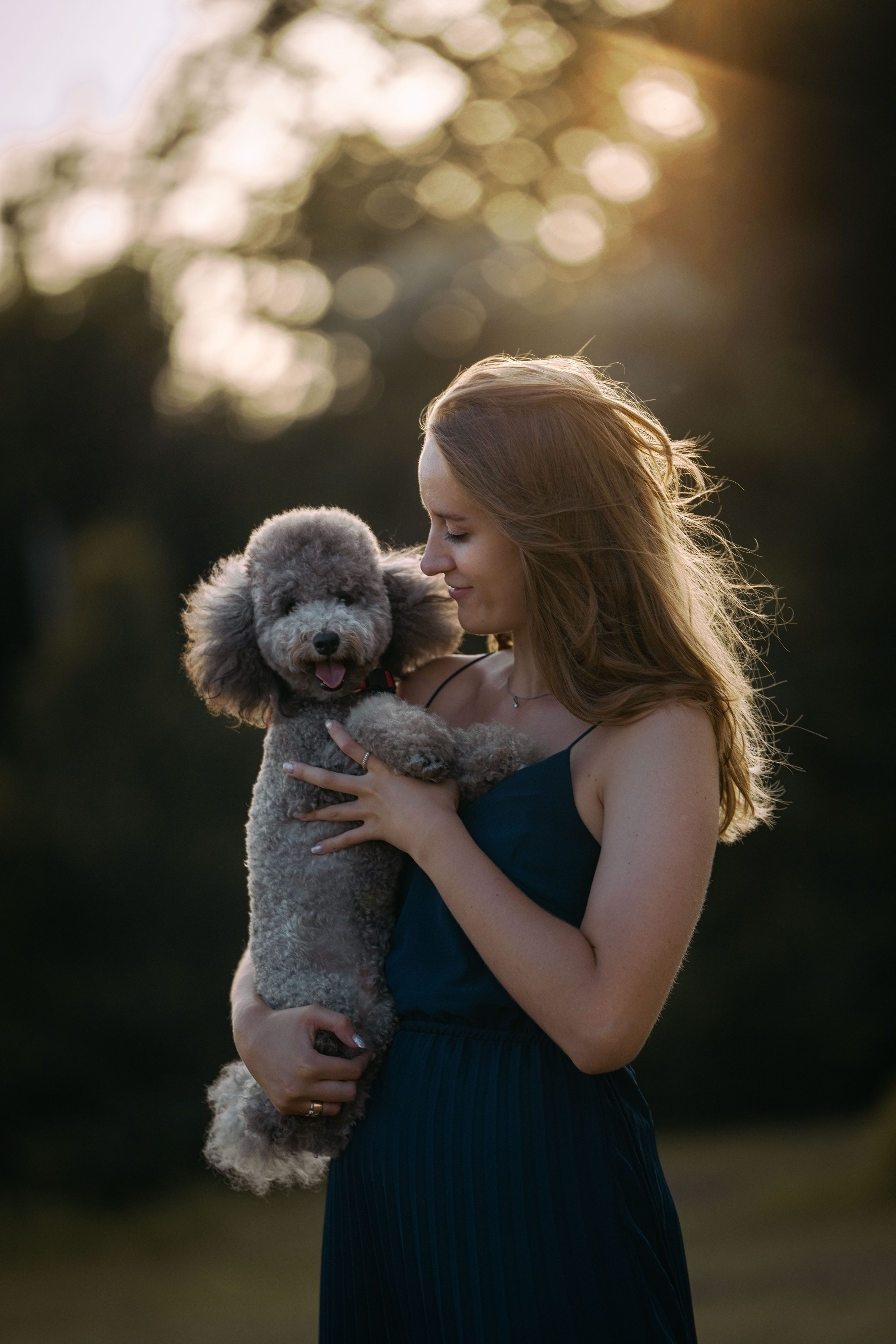 В Белграде на набережной. Фотограф анималист