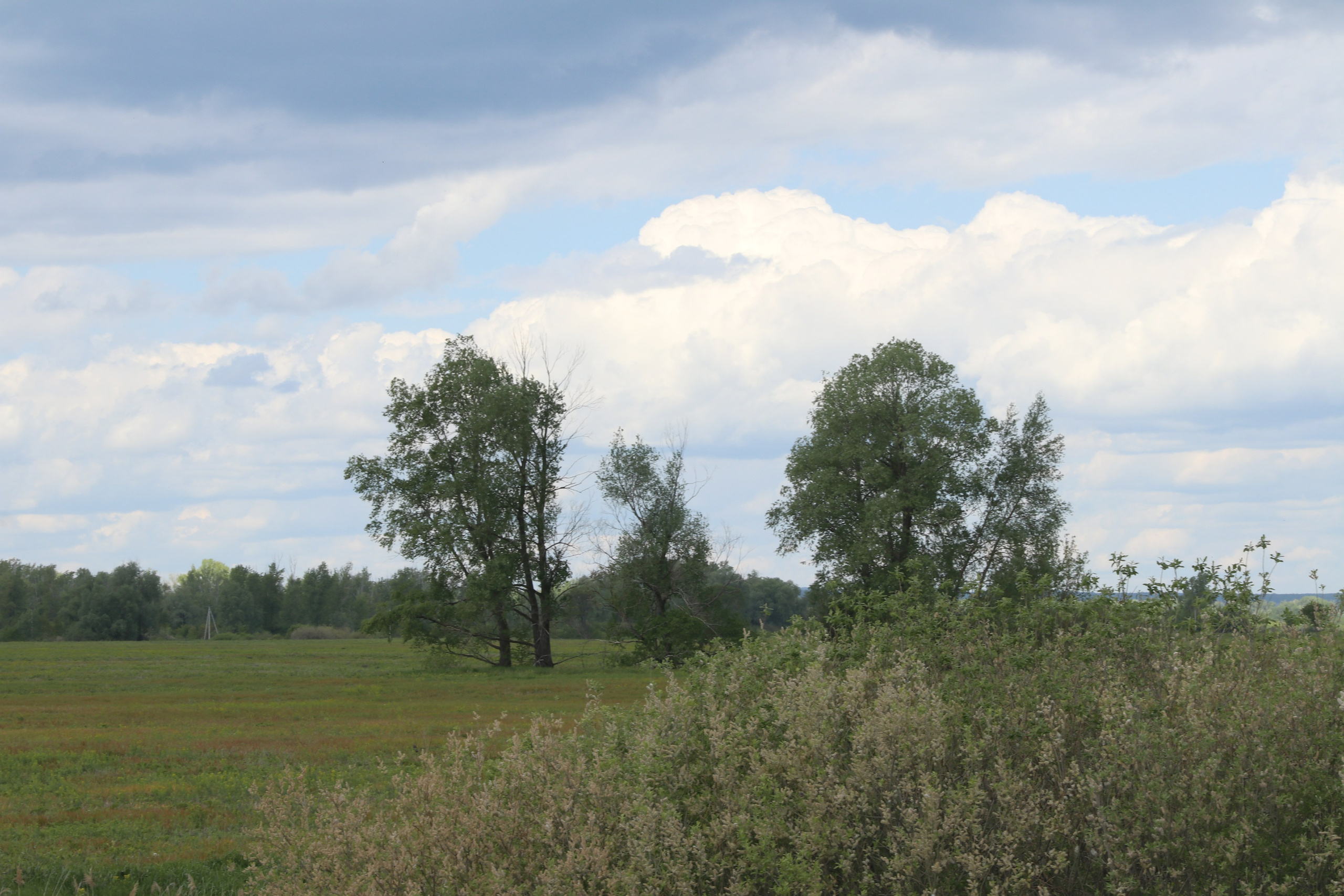 Велопоход Уфа — Мелеуз. Май 2024. Путешественник-фотограф из Санкт-Петербурга Татьяна Свистулина