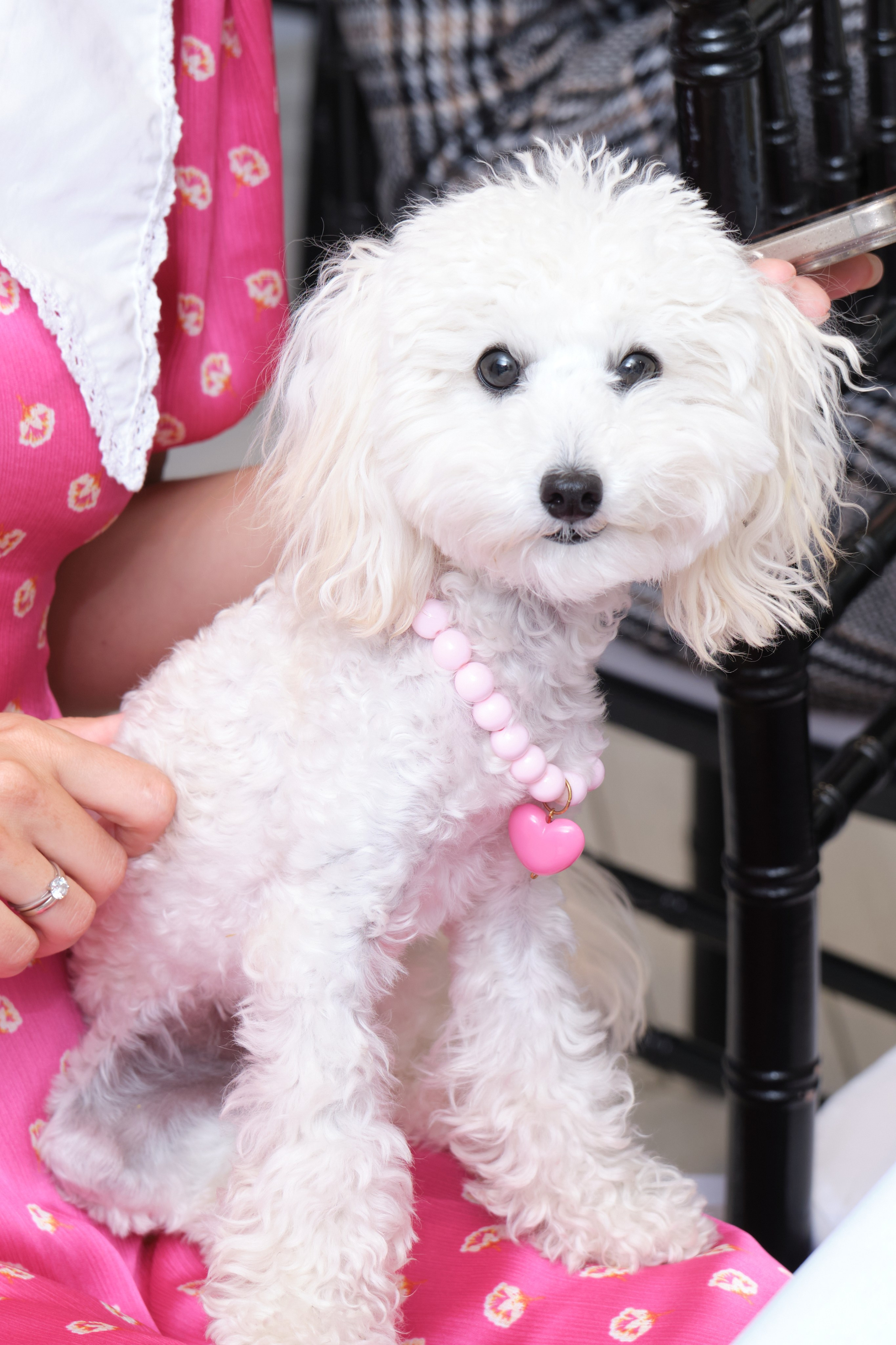 ARAVIA. Организация фото/видео съемки, Москва