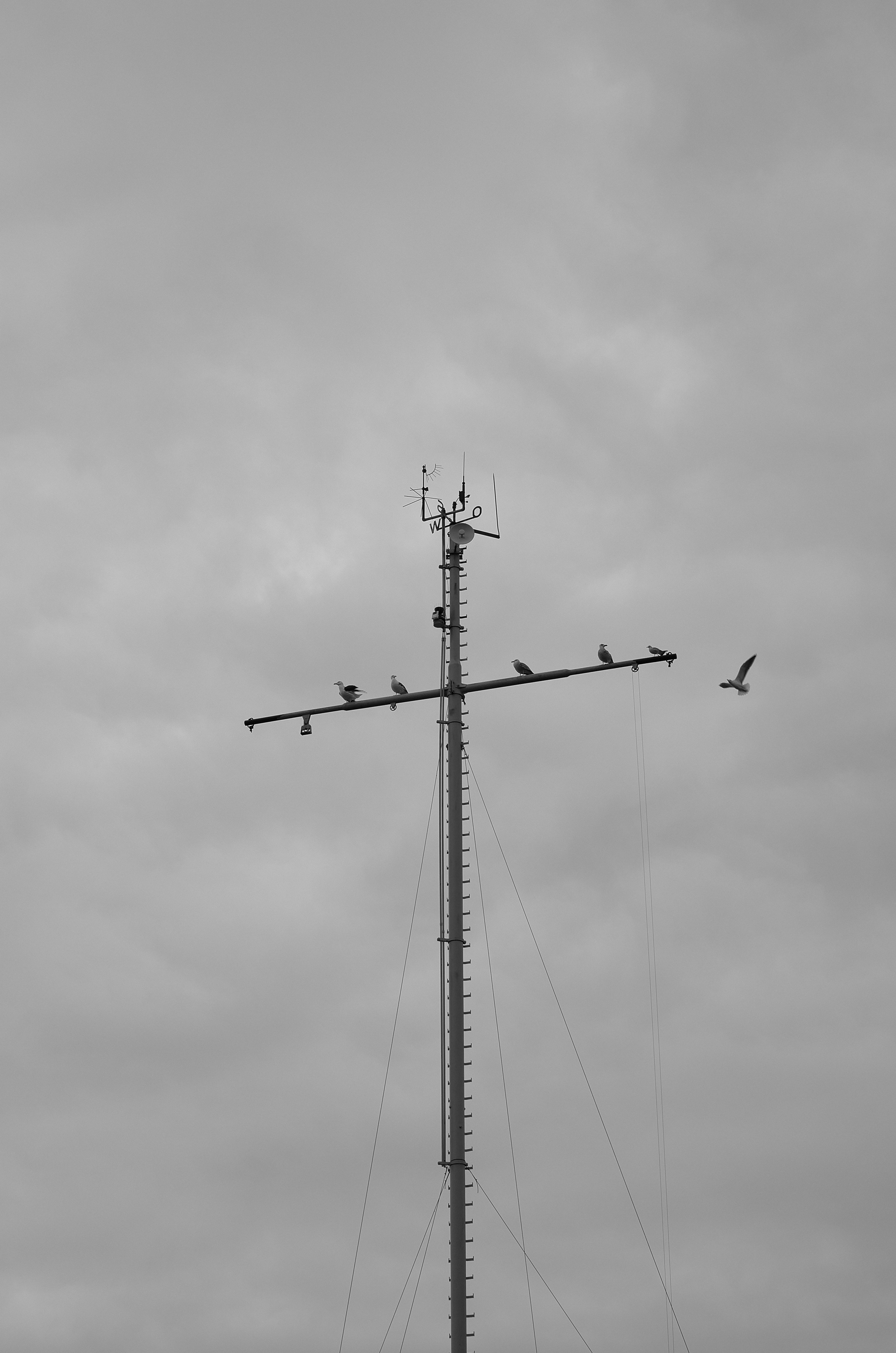 Заливино. Фотограф Дара Фарфор