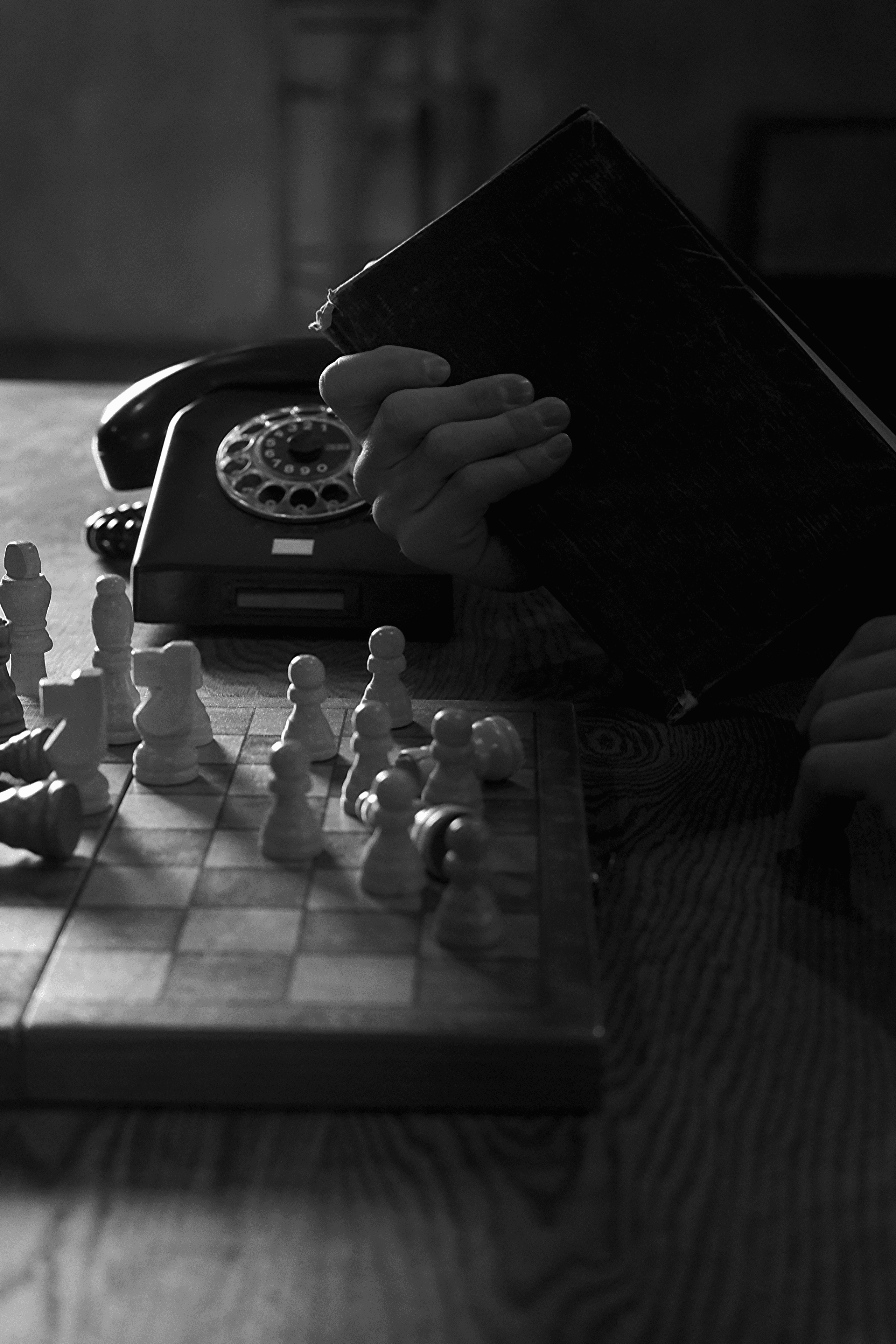 TESLA GAMBLER | MOTION. Индивидуальная фотосъёмка в Москве. Фотограф Василиса Тарасова