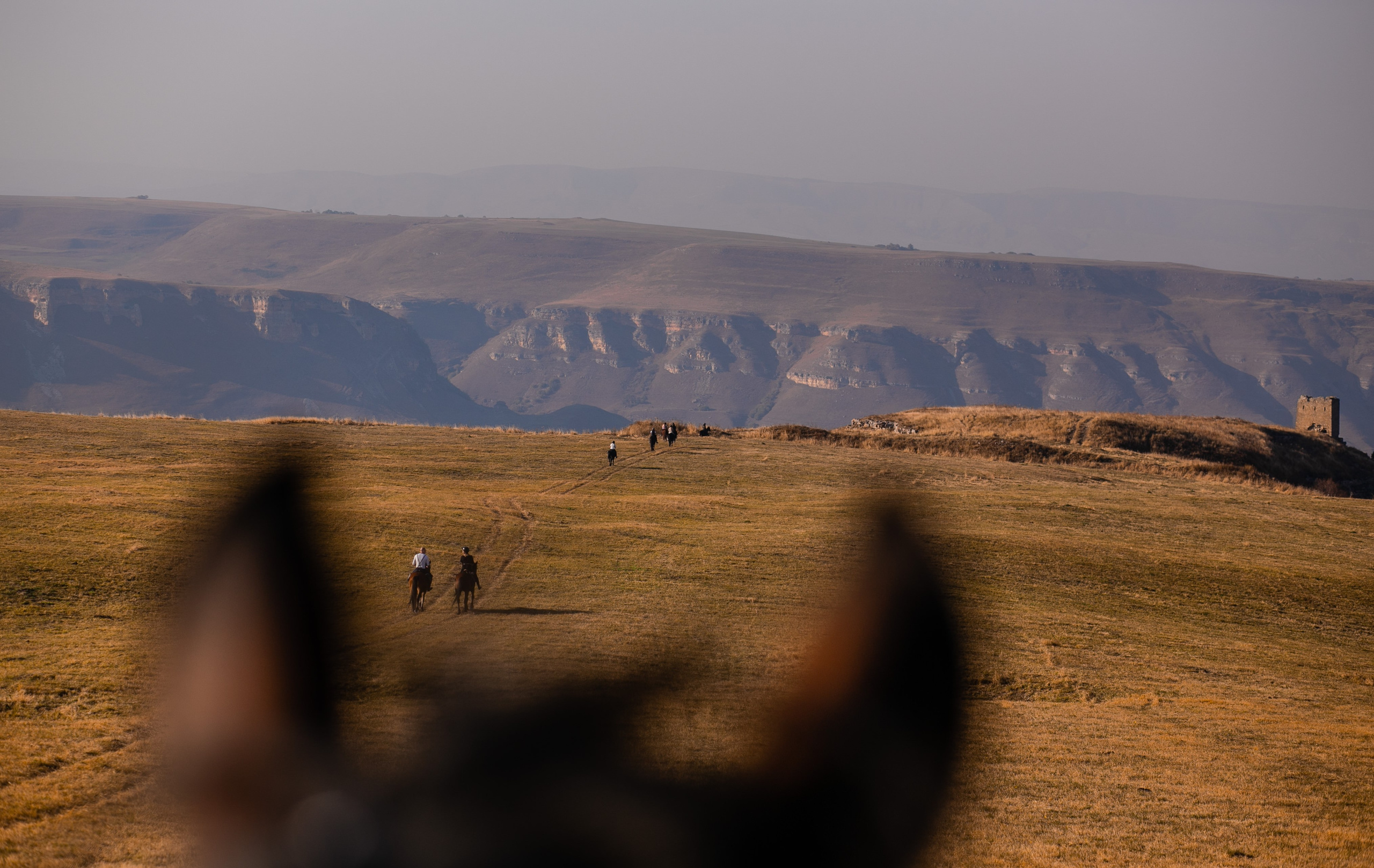 Фототуры в Карачаево-Черкессии 2019-2020. Фотограф-анималист Ксендзова Кристина