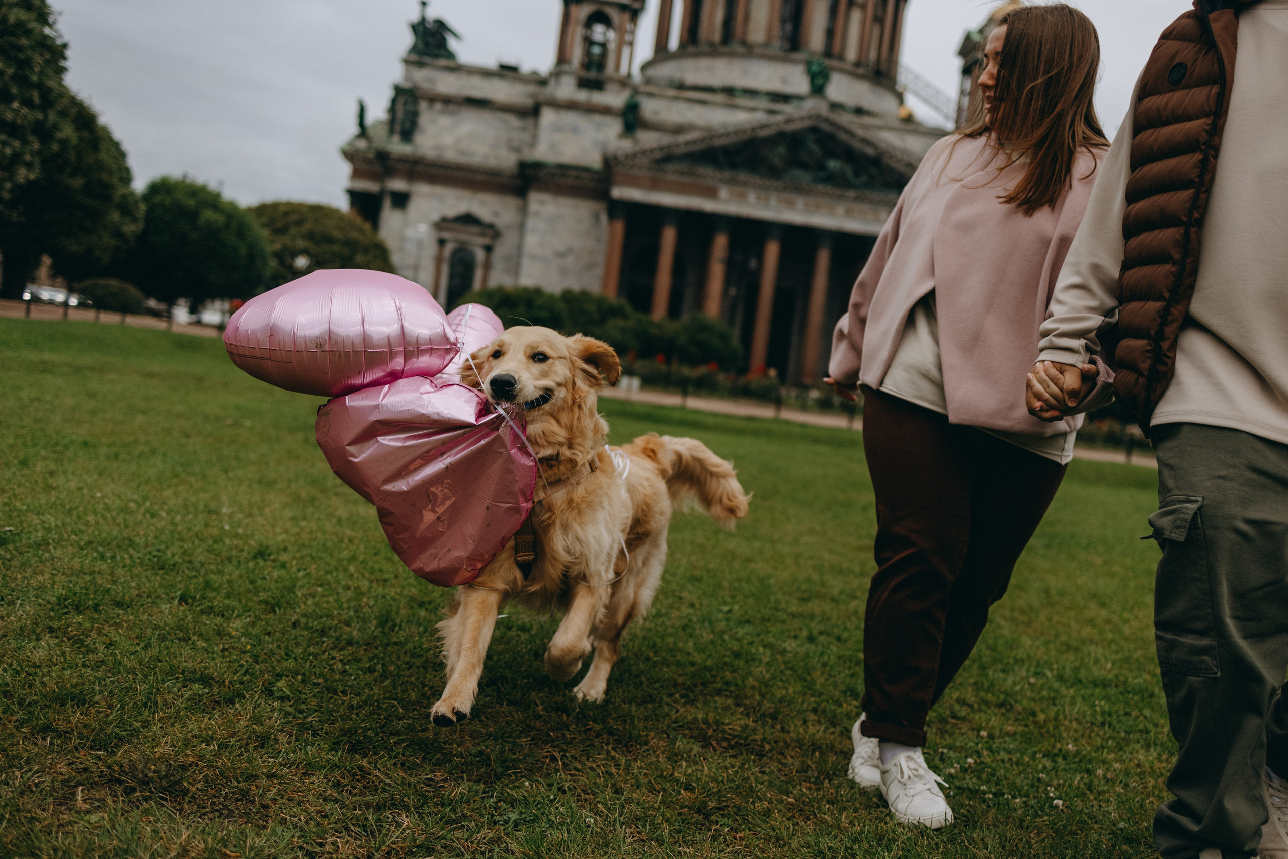 Бетти и ее семья. Фотограф — Анималист | Санкт-Петербург