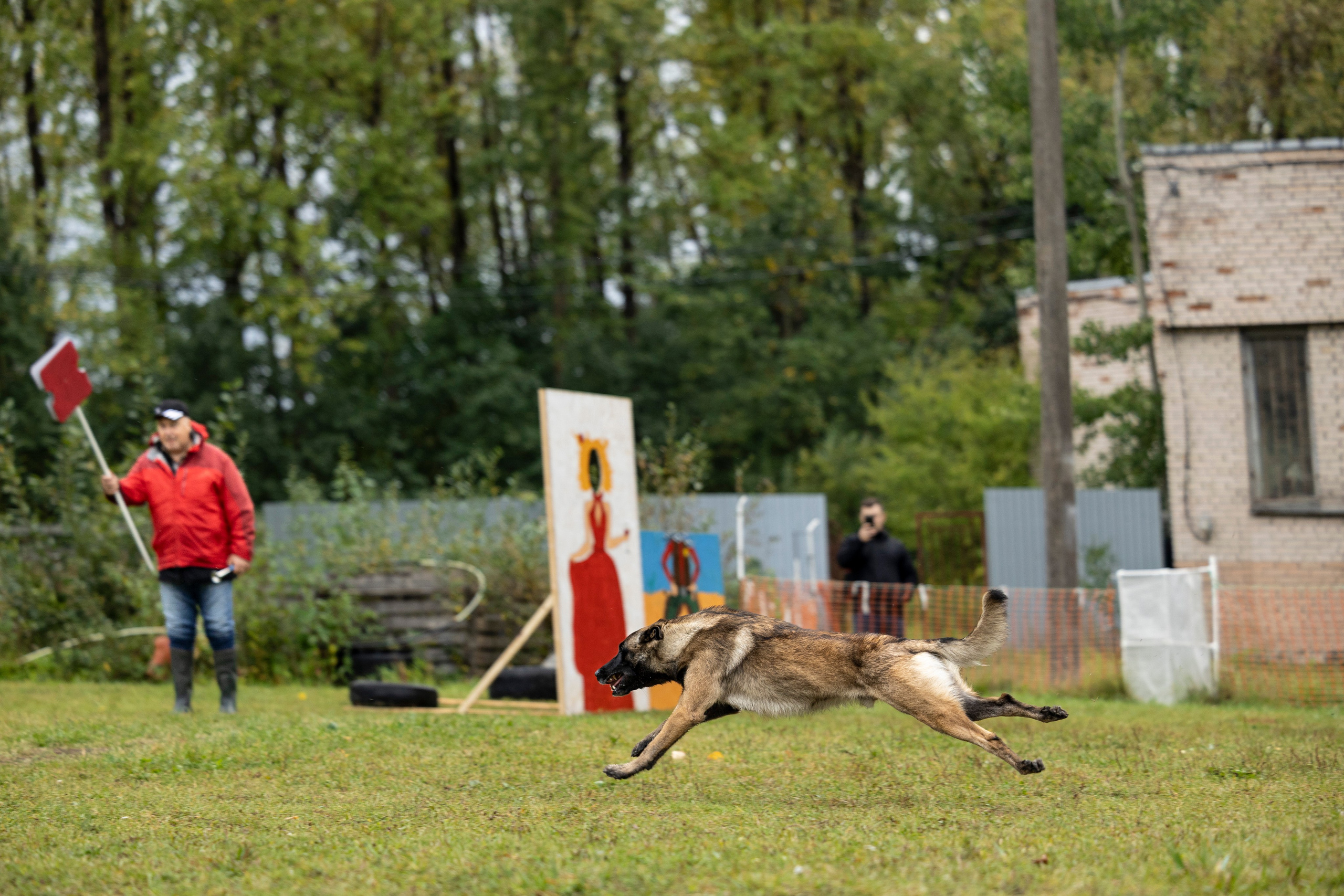 Испытания по Мондьорингу г. Пушкин. Фотограф-анималист Анна Маринич